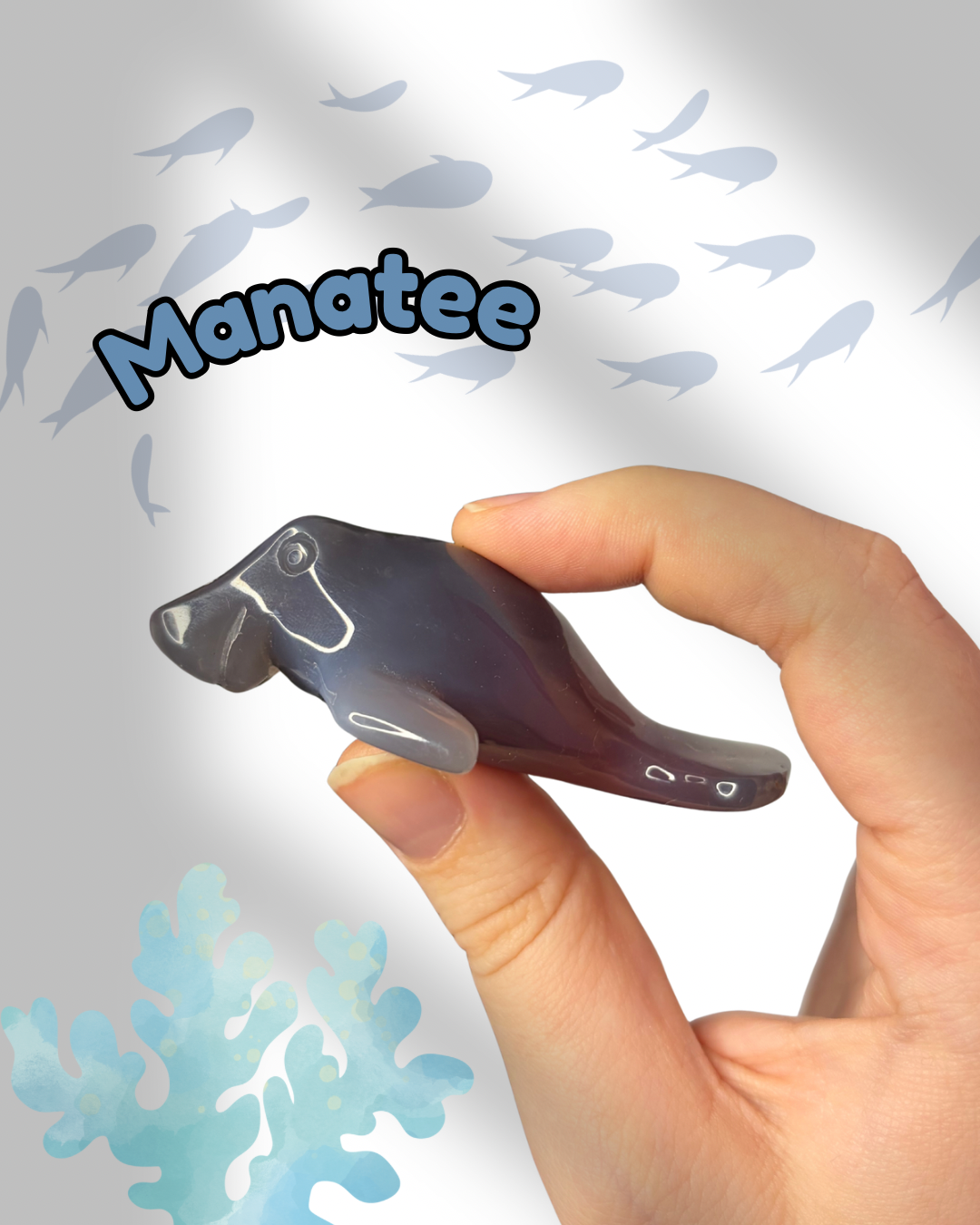 Mozambique Agate Manatee
