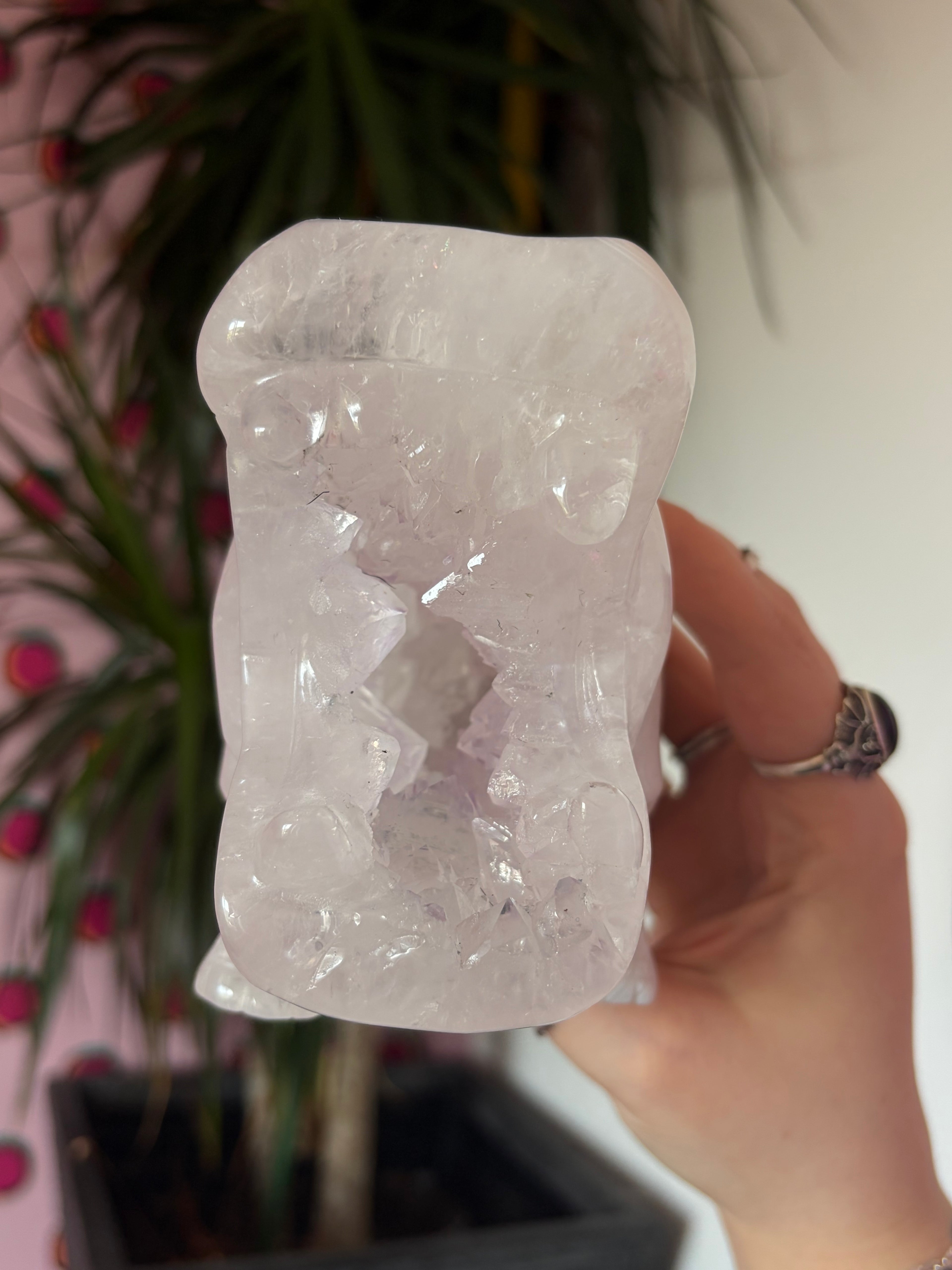 Druzy Agate Hippo