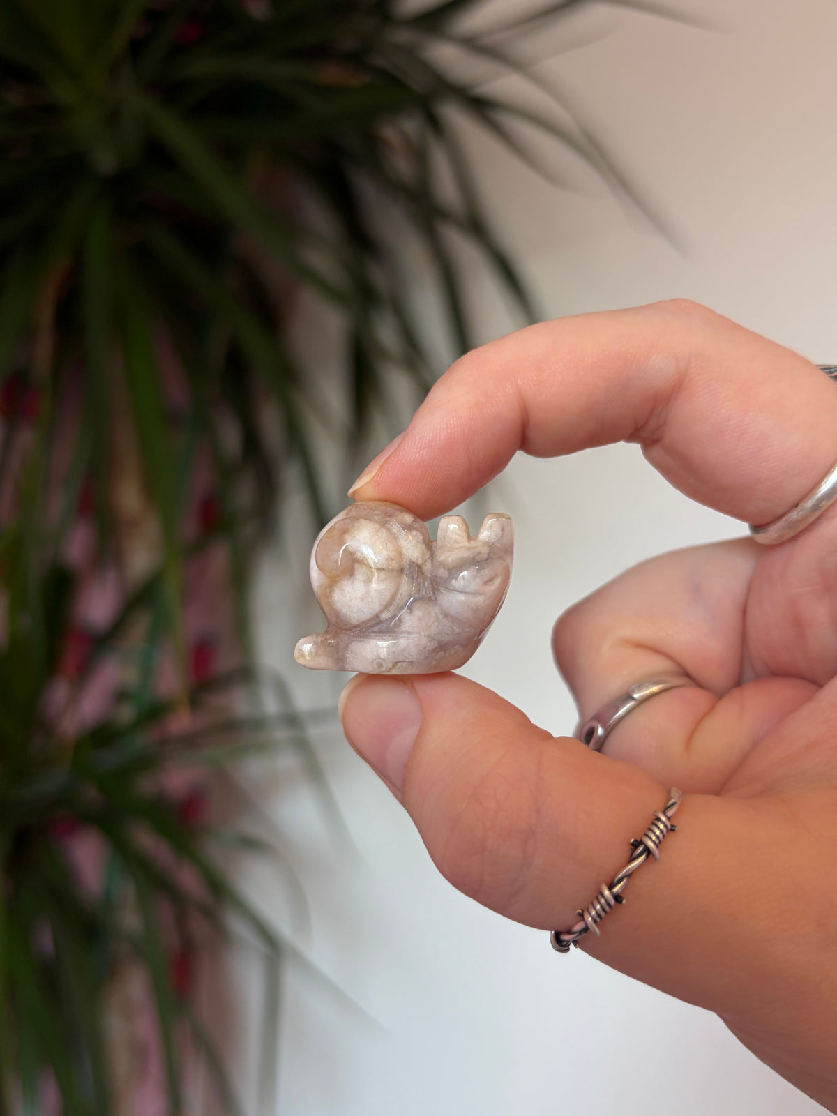 Mini Flower Agate Snails