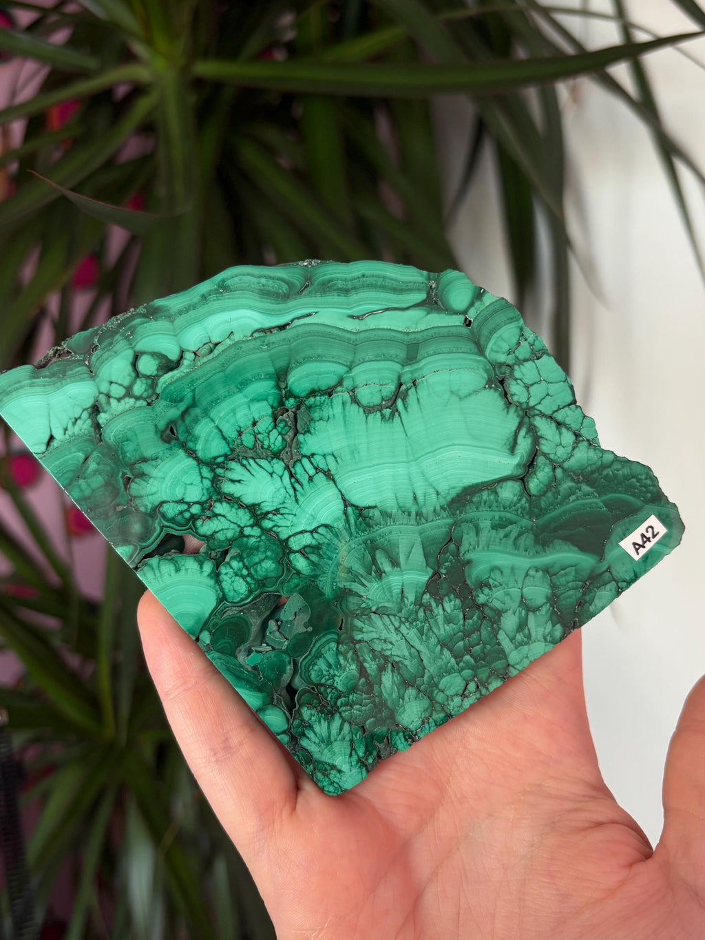 Malachite Slab