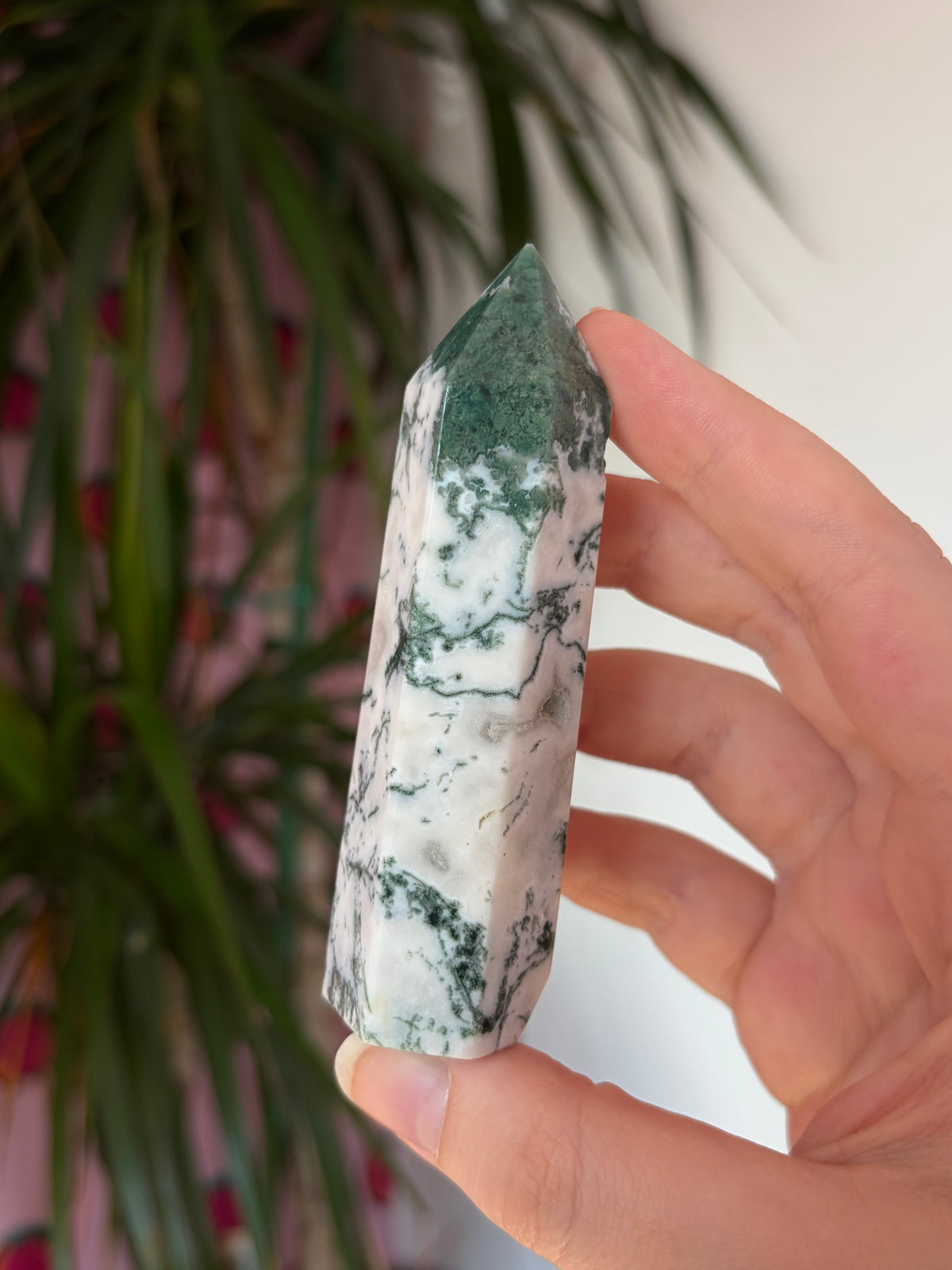 Tree Agate Tower