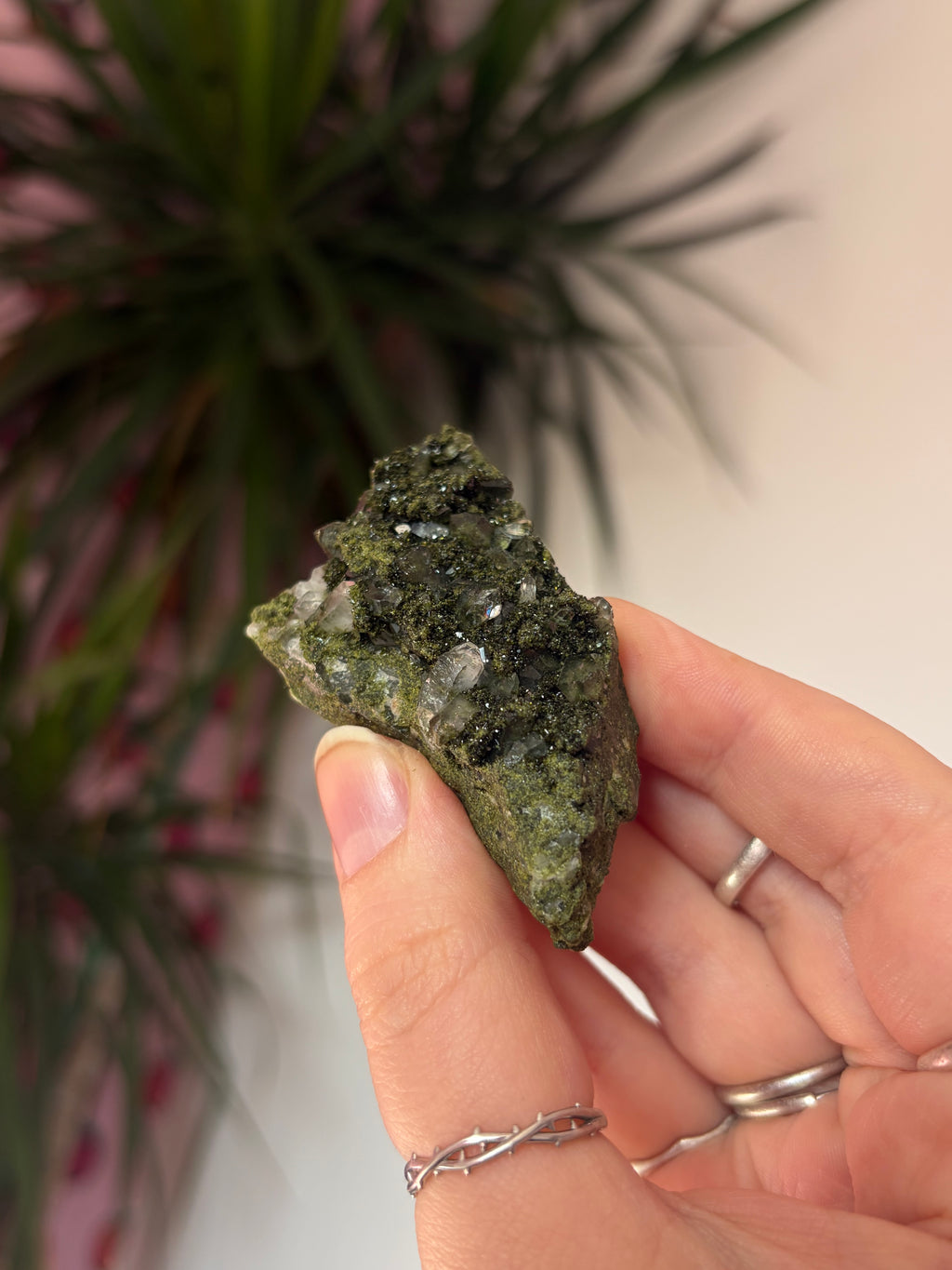 Forest Epidote Specimen