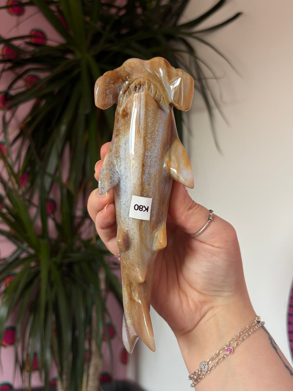 Agate Hammerhead Shark