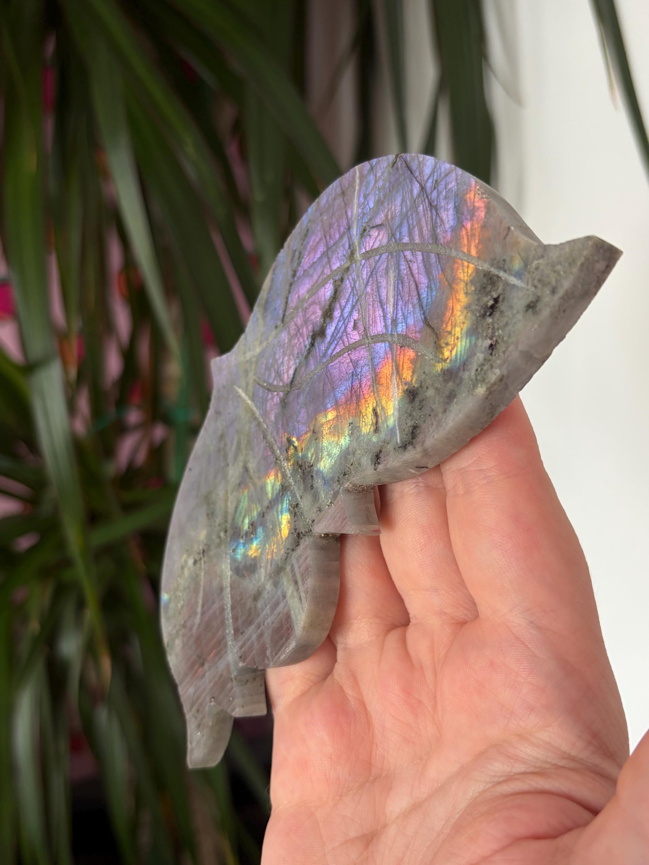 Labradorite Butterfly Wings with Custom Stand