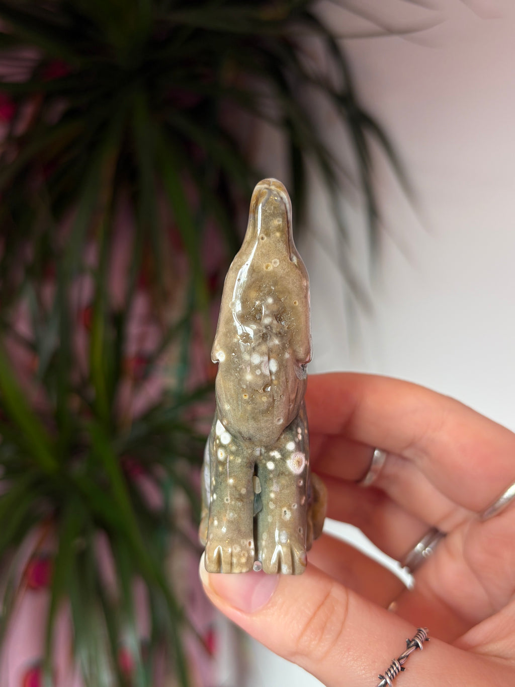Ocean Jasper Howling Wolf