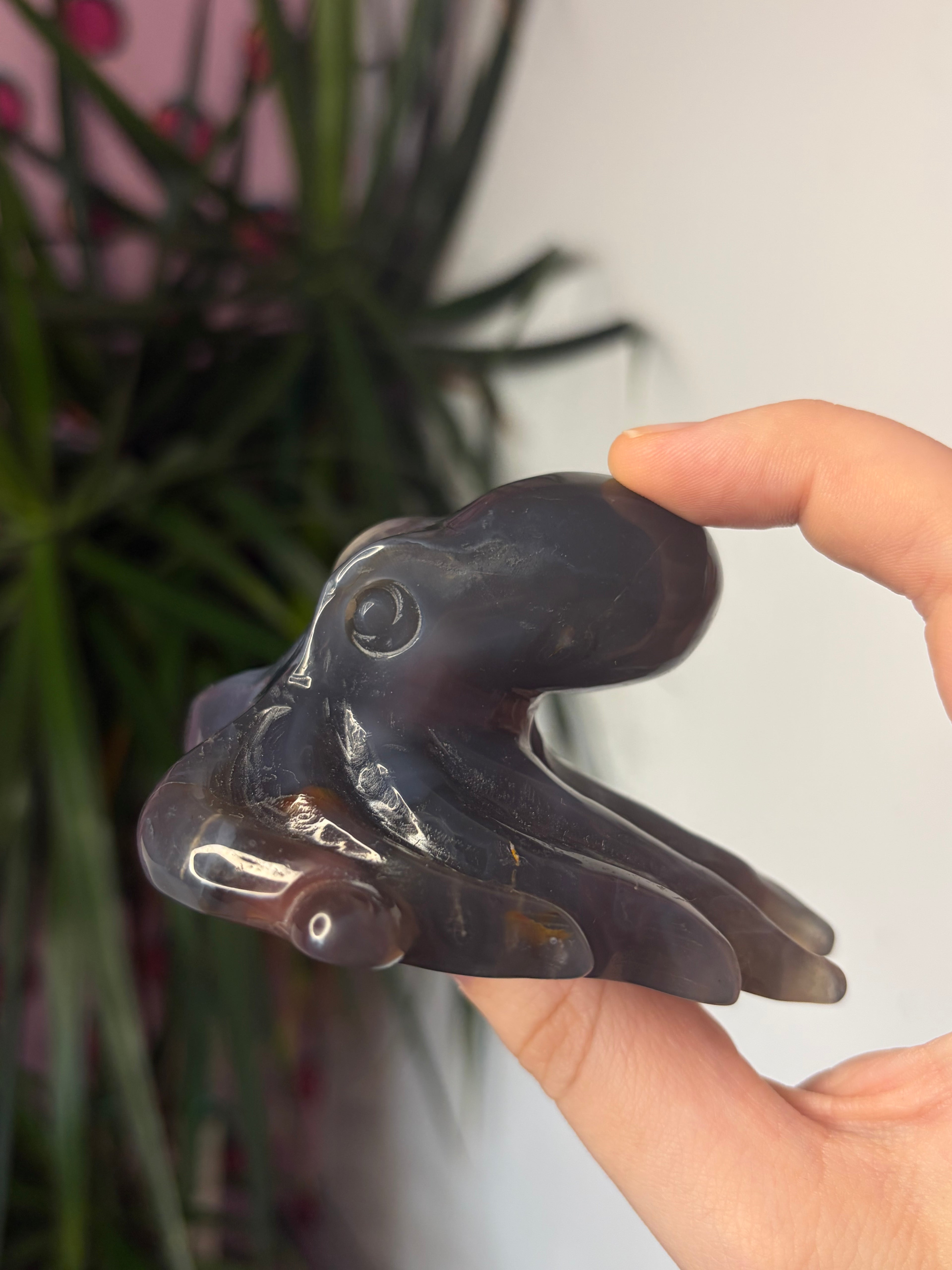 Mozambique Agate Octopus