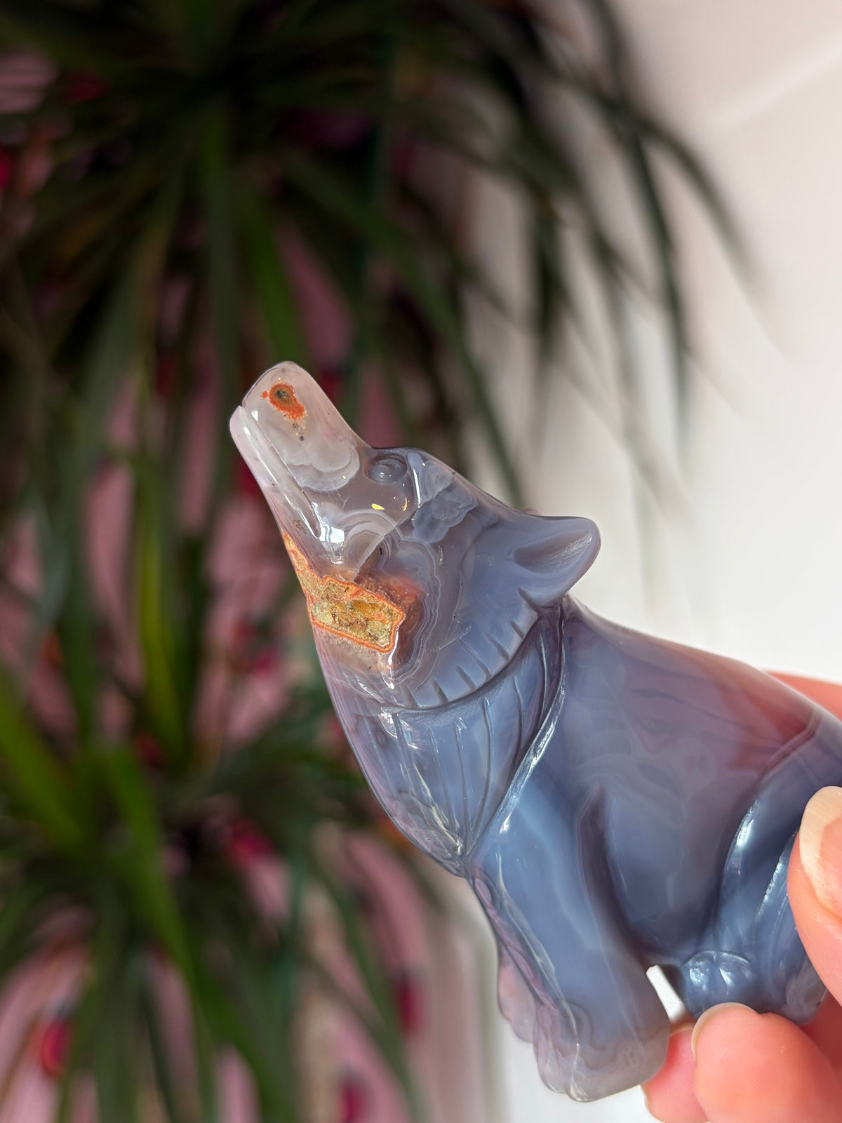 Mozambique Agate Howling Wolf