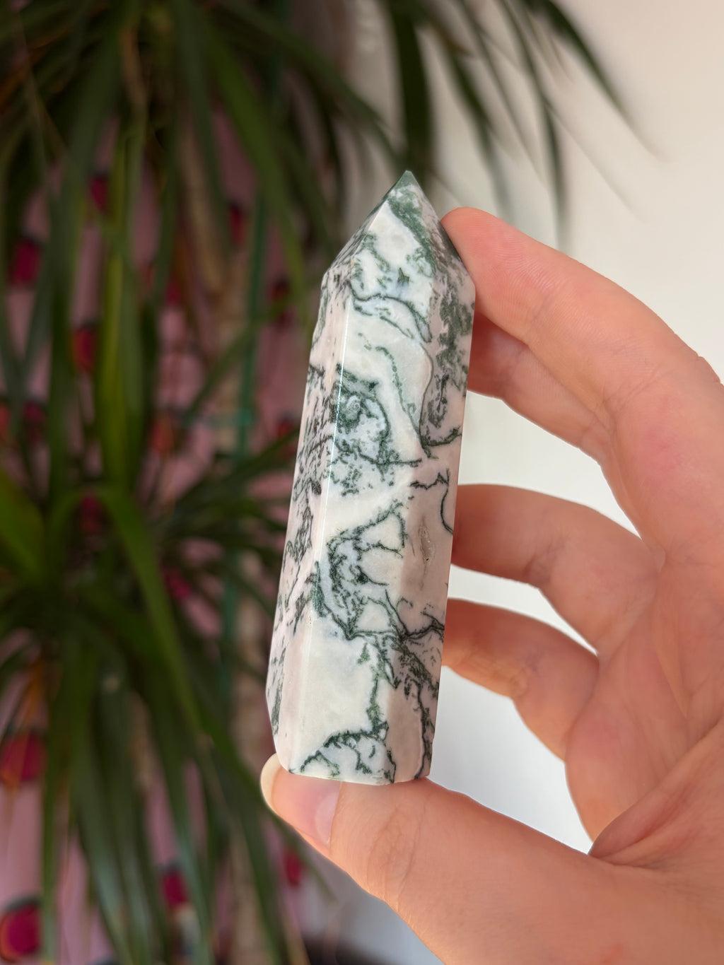 Tree Agate Tower