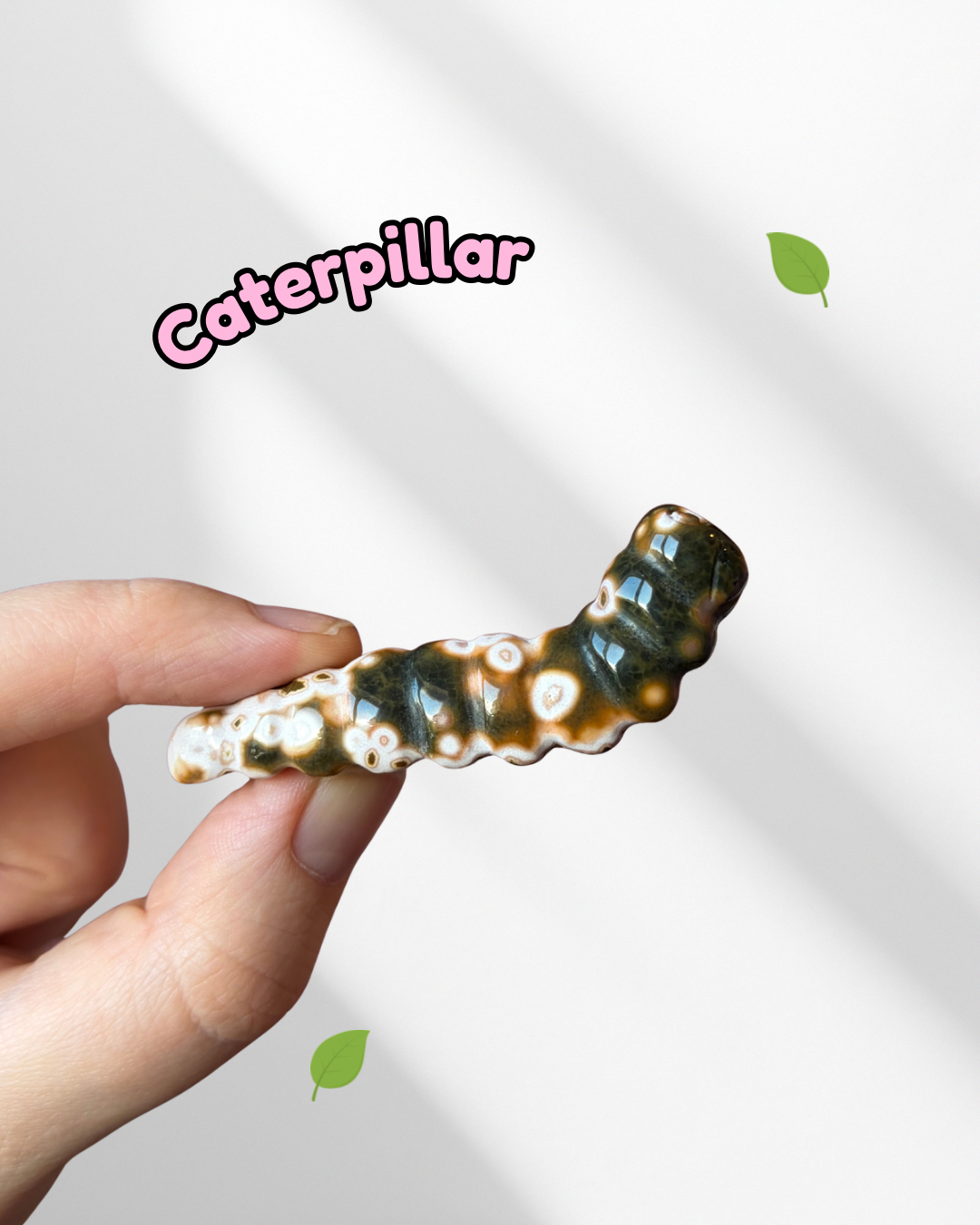 Ocean Jasper caterpillar