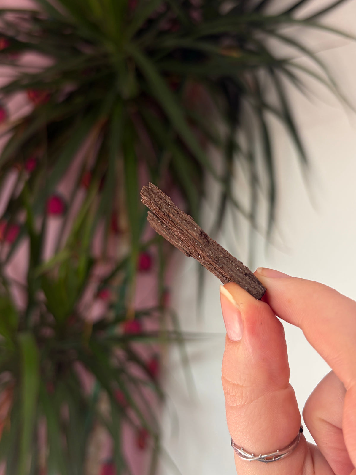 Fairy Wood Specimen