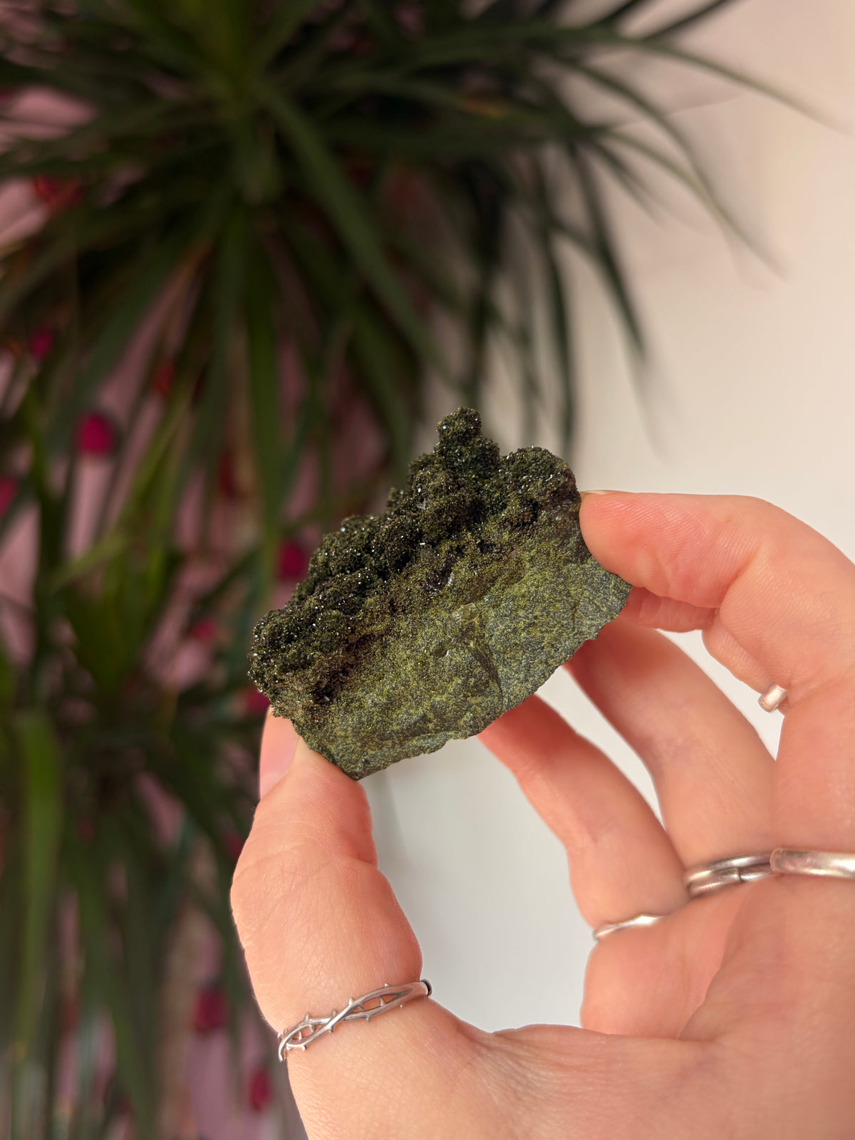 Forest Epidote Specimen