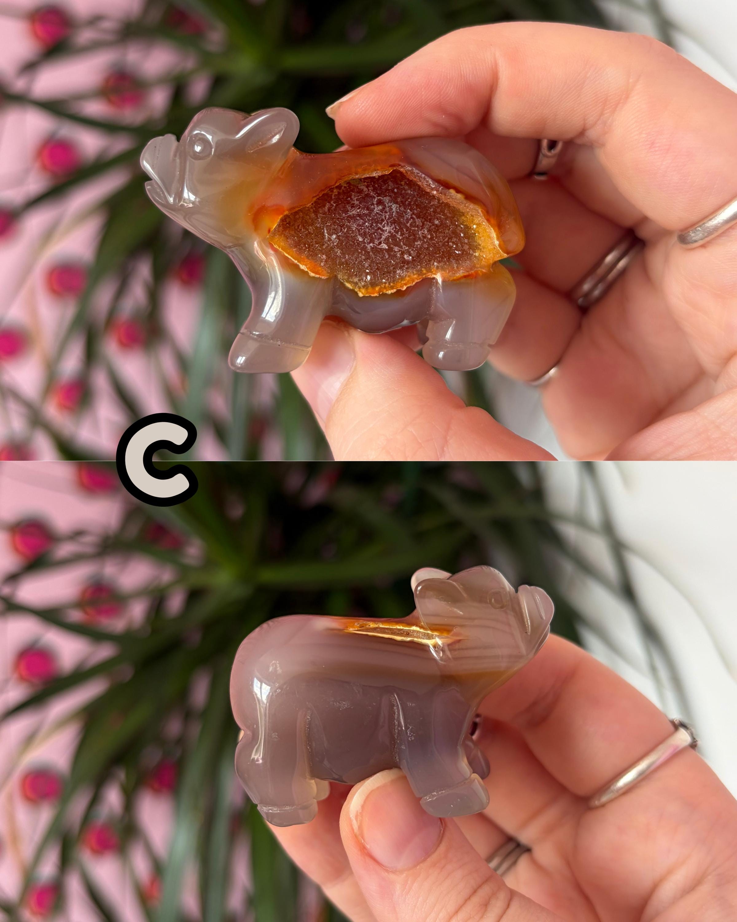 Druzy Agate Pigs