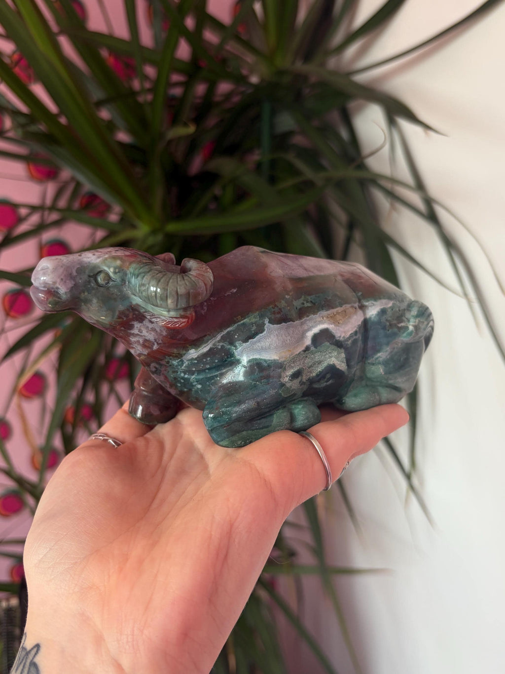 Sea Jasper Water Buffalo