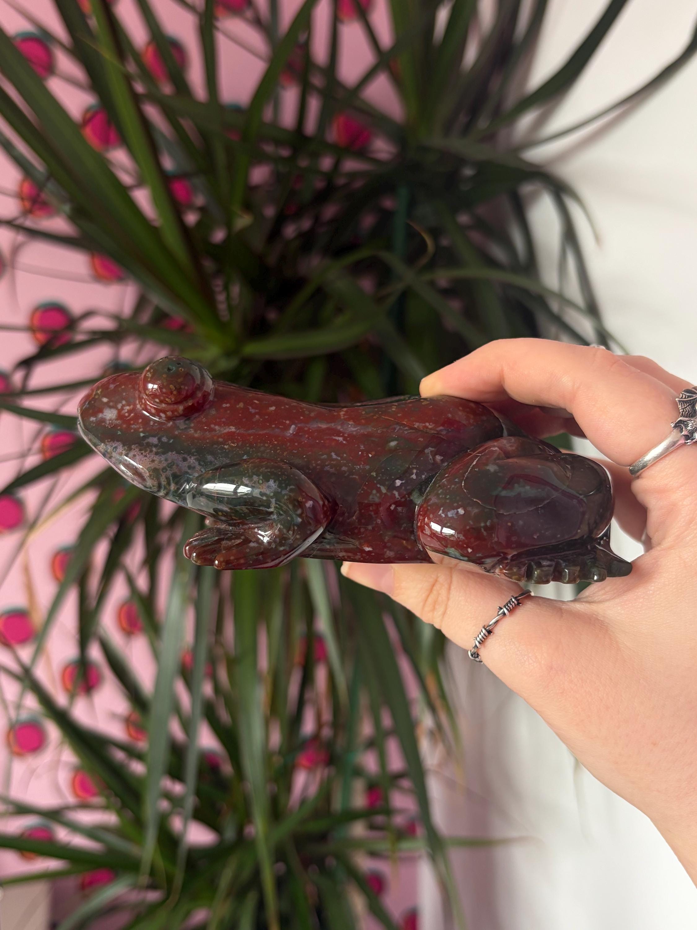 Large Sea Jasper Frog