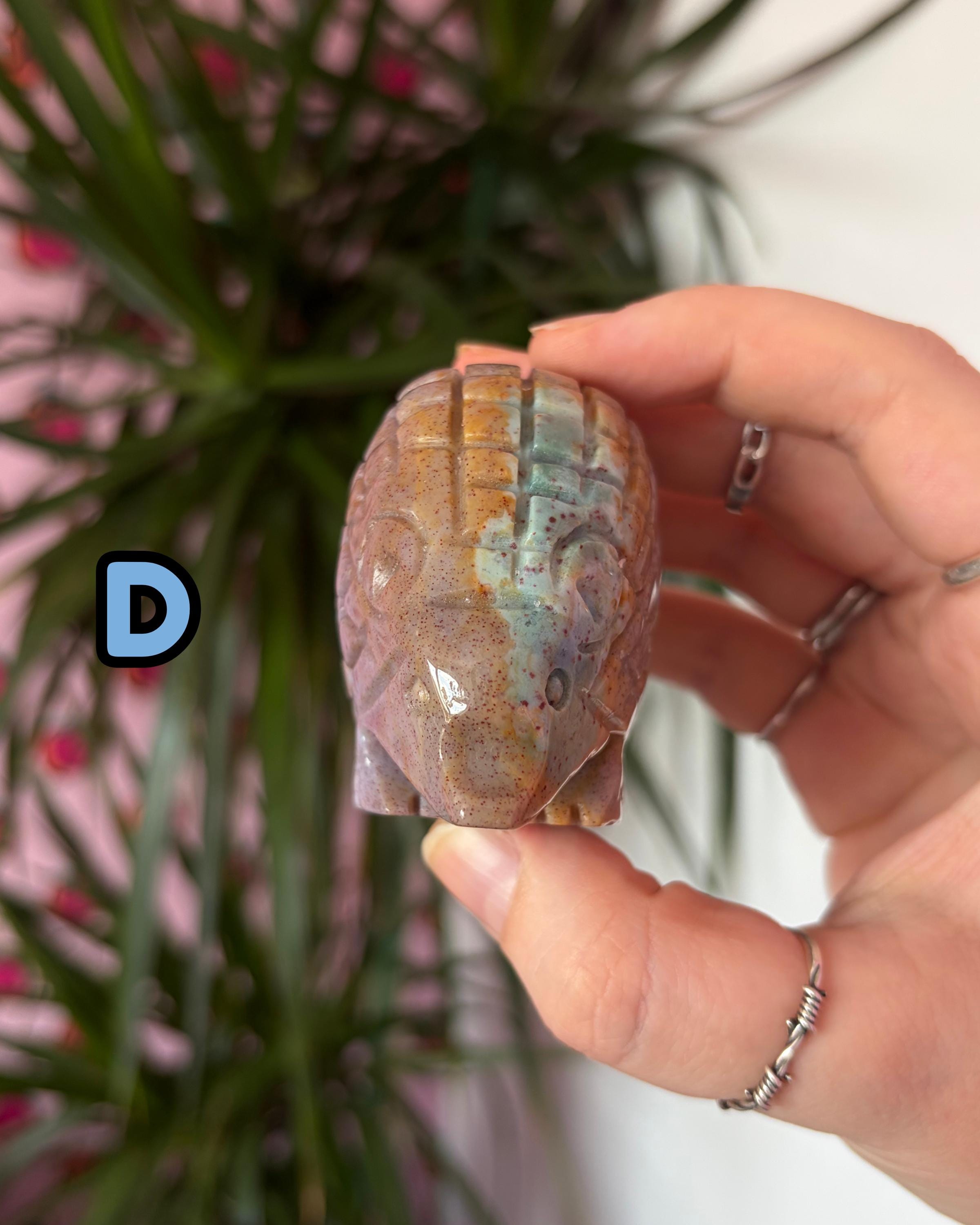 Sea Jasper Hedgehogs