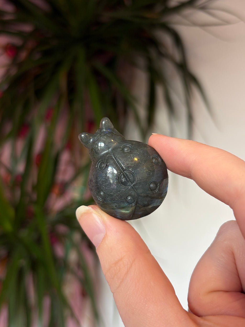 Labradorite ladybug
