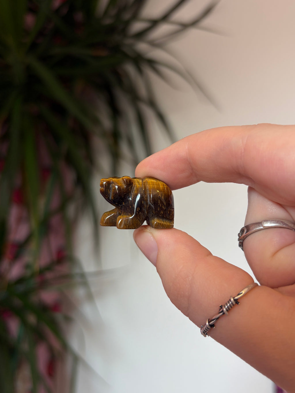 Mini Tigers Eye Bears