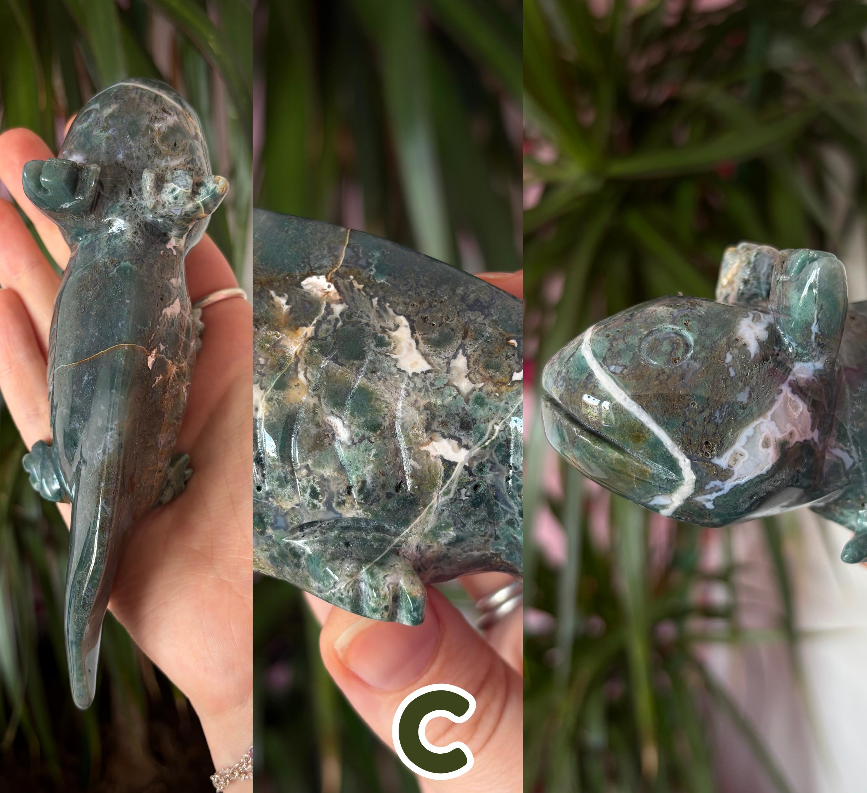 Moss Agate Axolotls