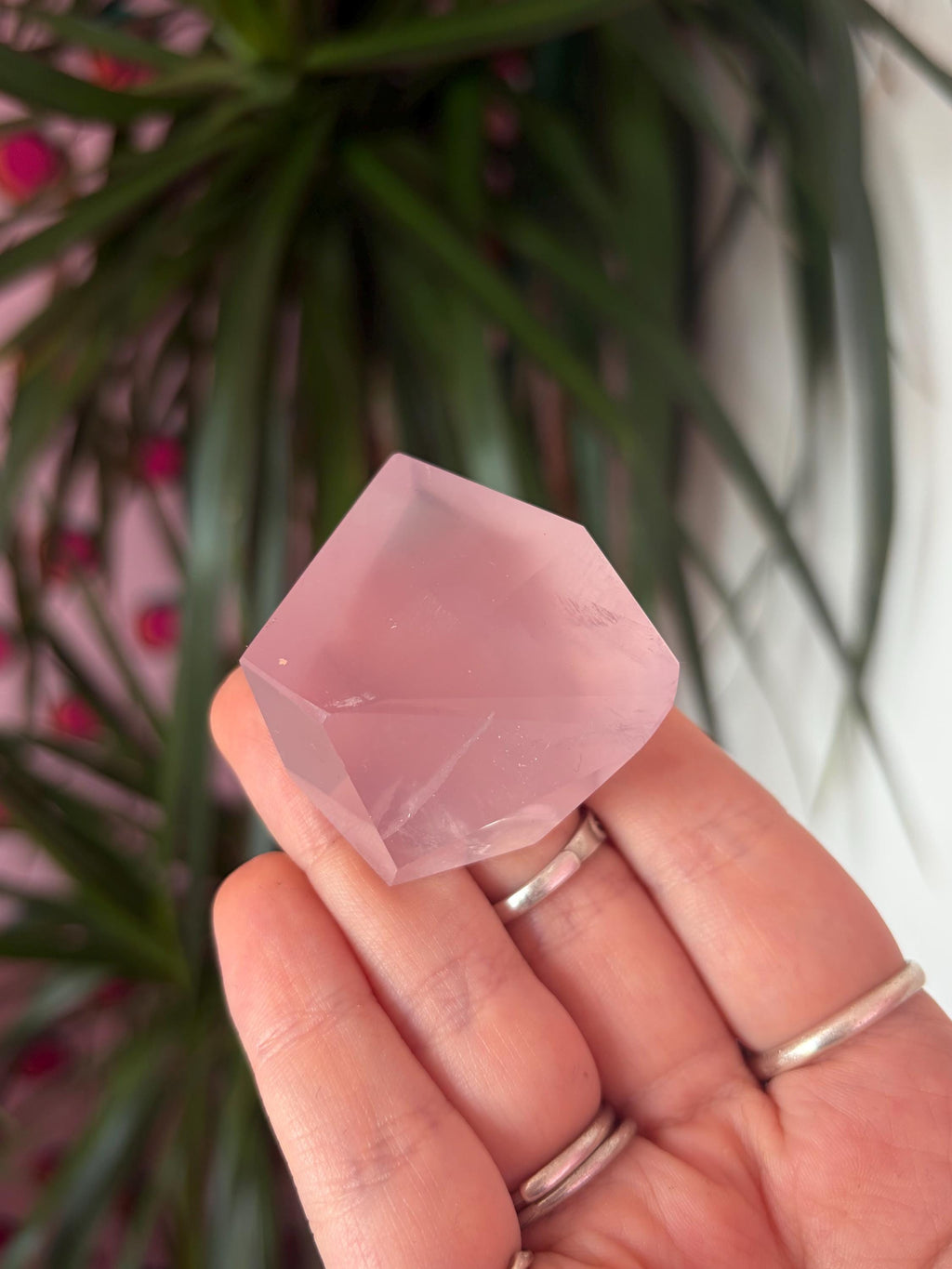 Small Rose Quartz Freeforms