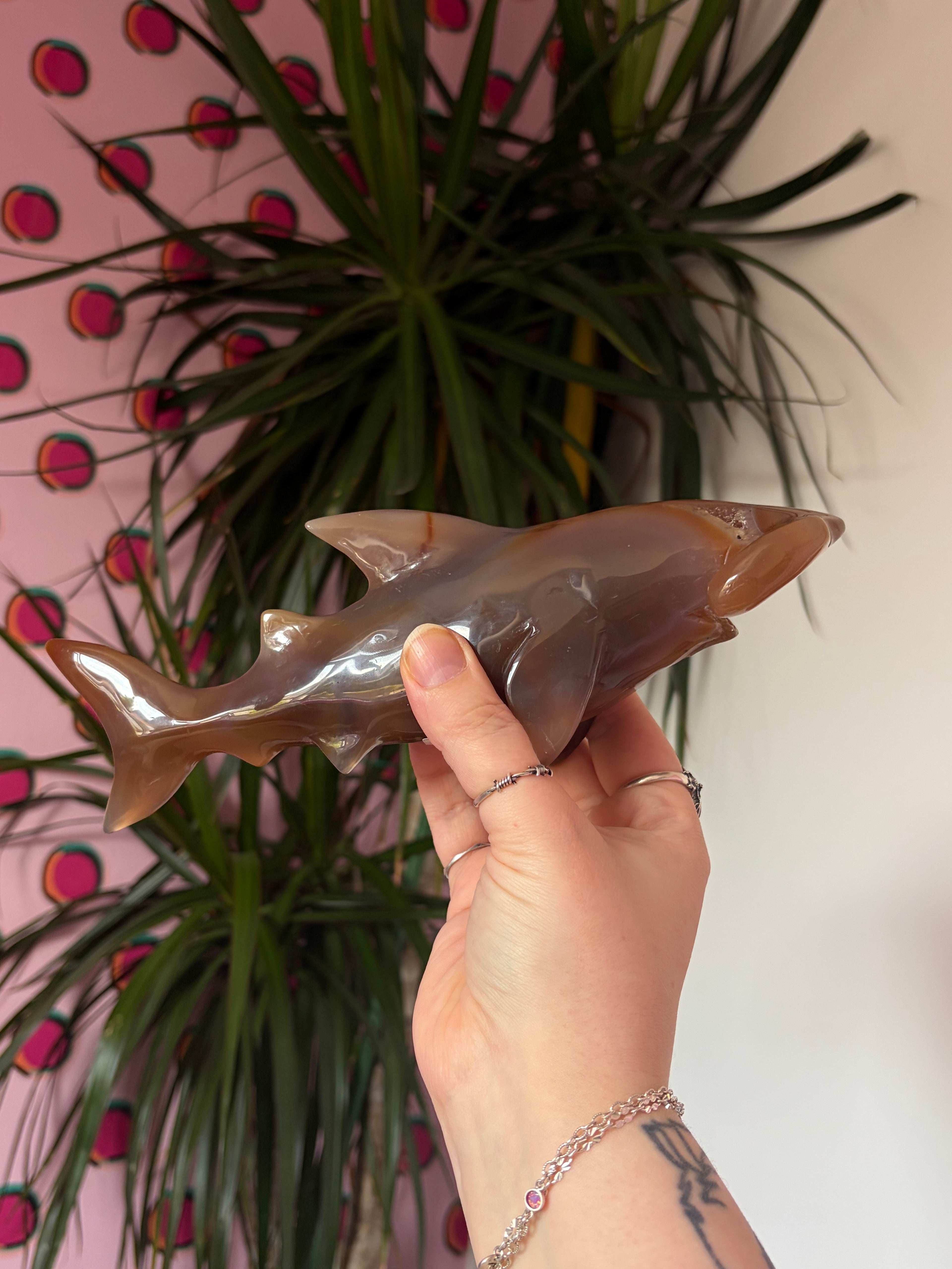 Agate Hammerhead Shark