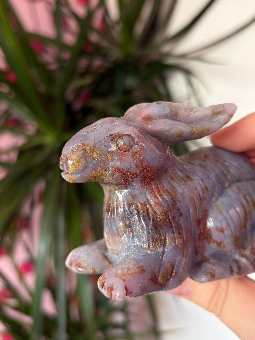 Sea Jasper Rabbit