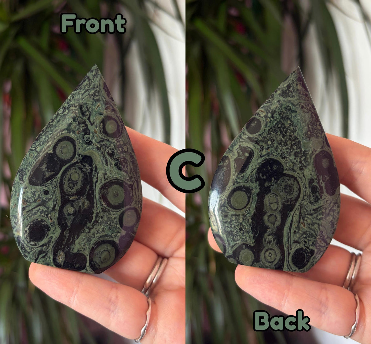 Kambaba Jasper Arrowhead