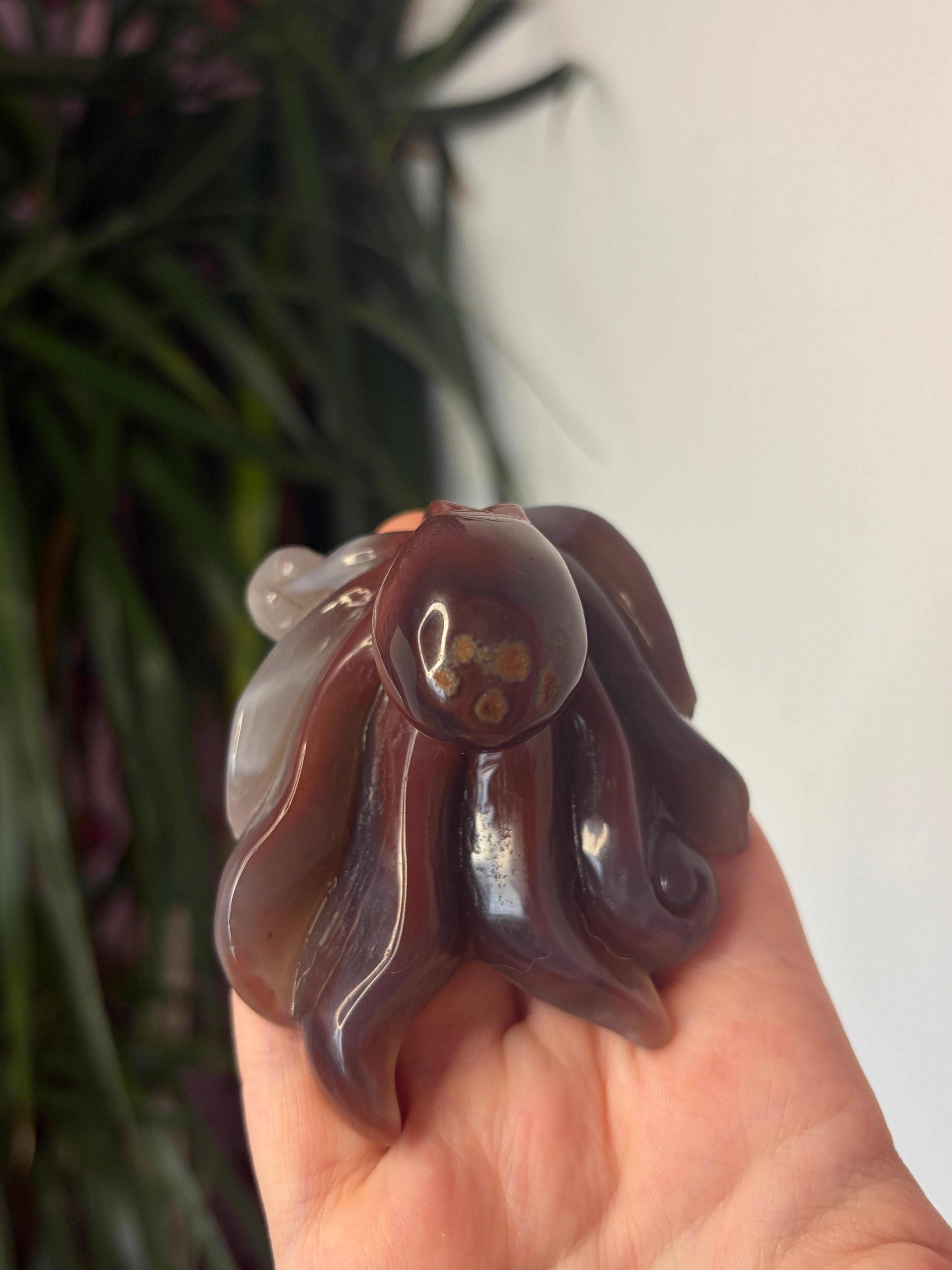 Mozambique Agate Octopus