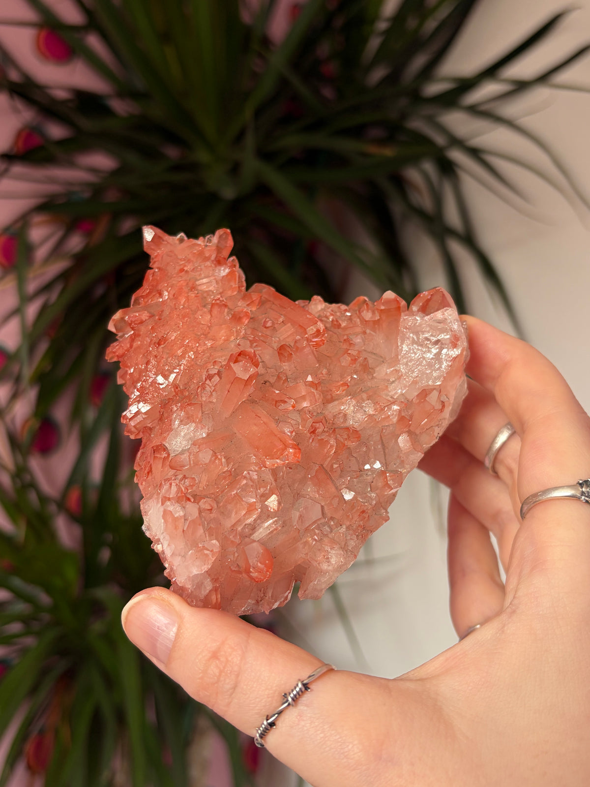 Sparkly Pink Lithium on custom stand