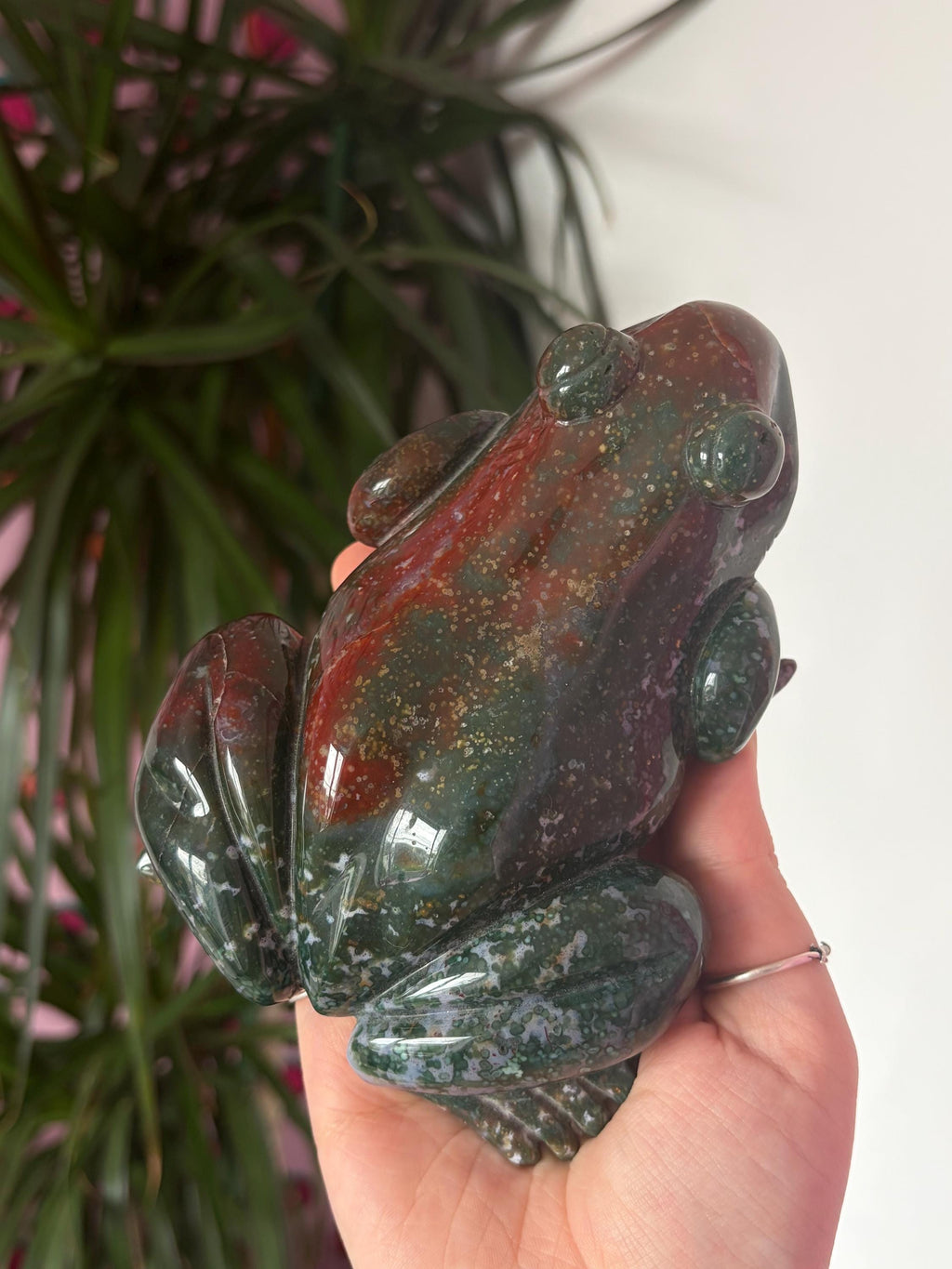 Large Sea Jasper Frog