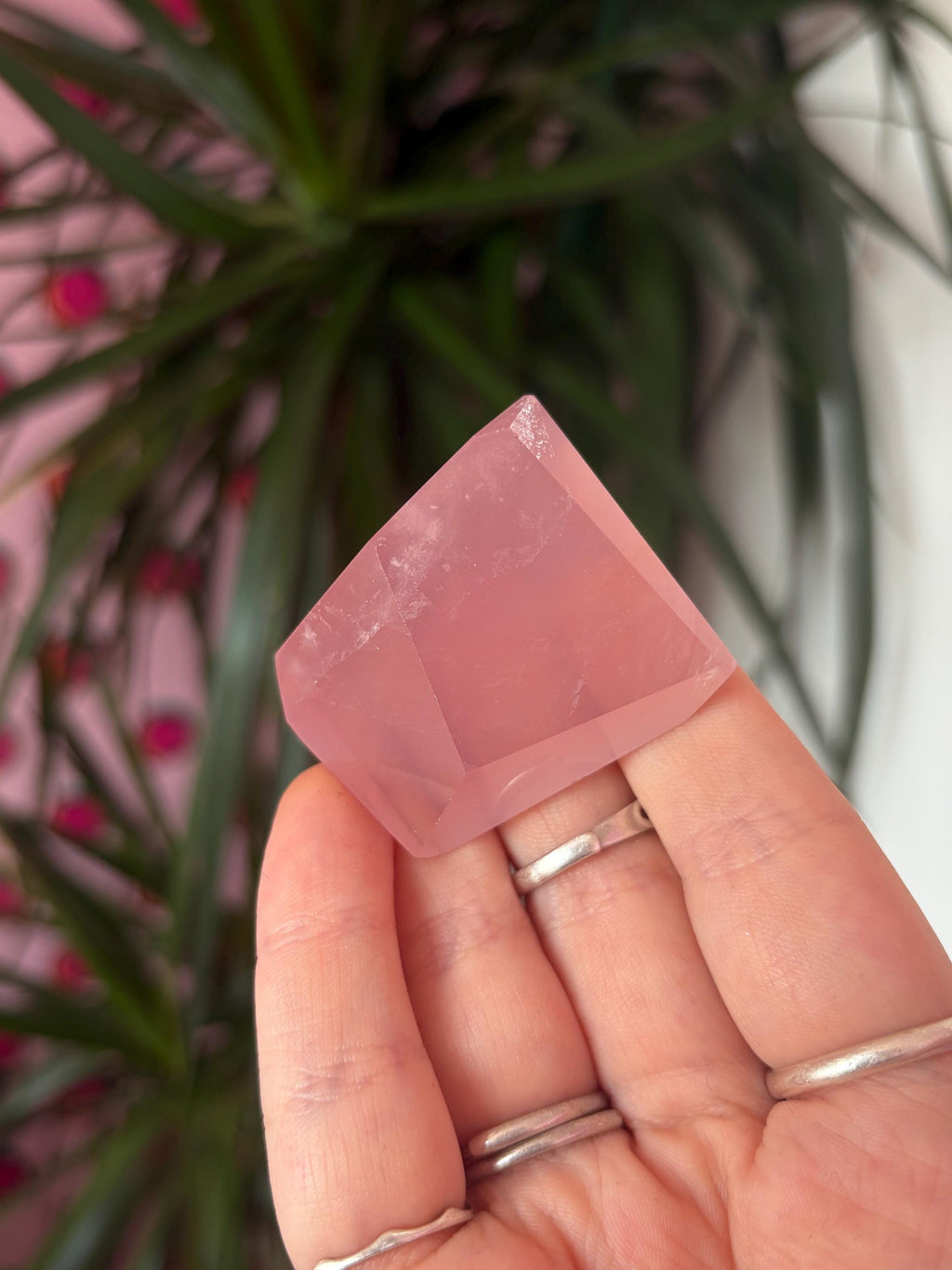 Small Rose Quartz Freeforms