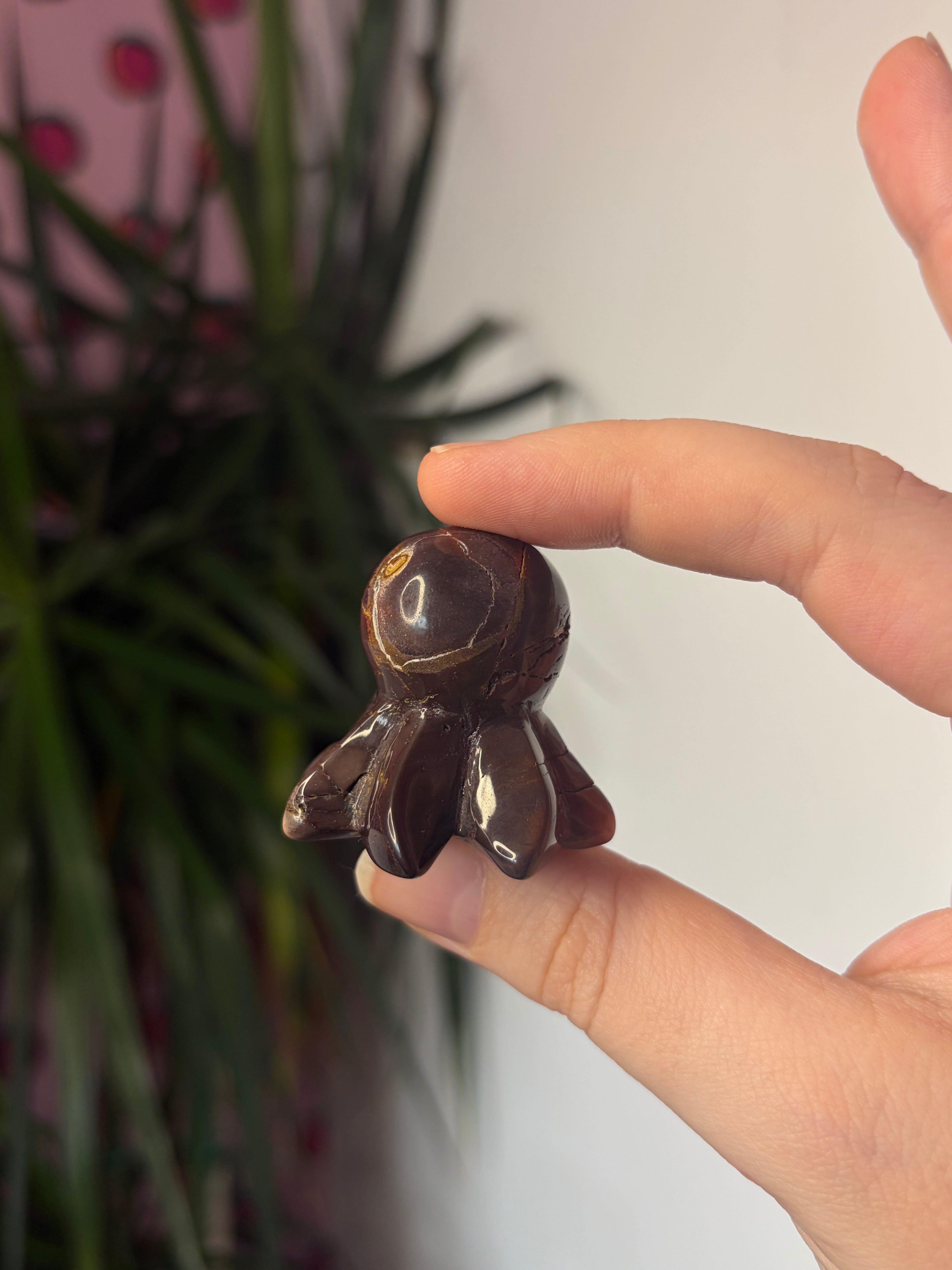 Mookaite Octopus
