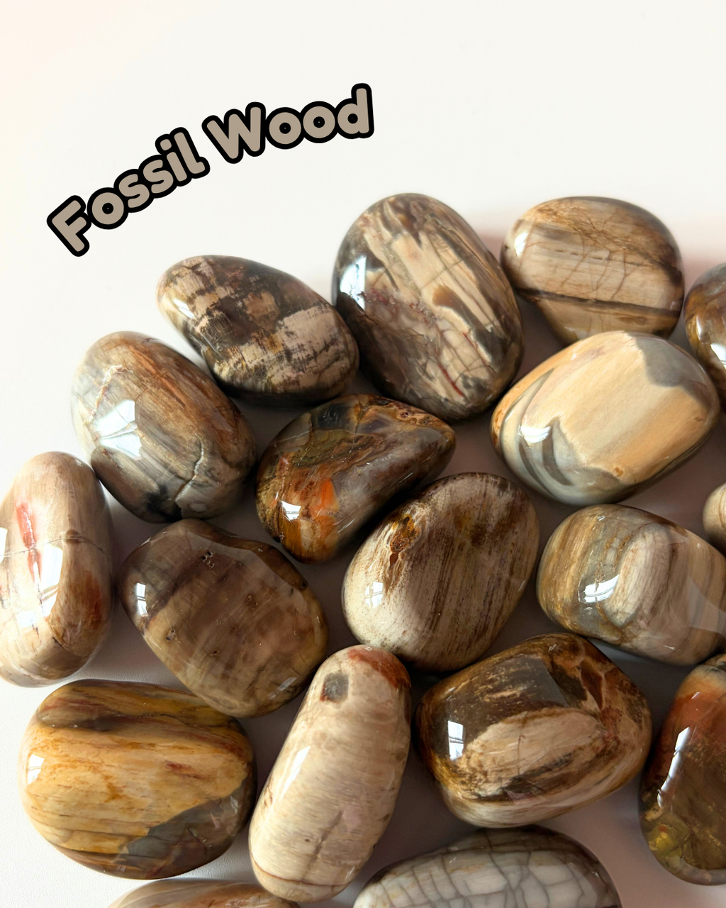 Fossil Wood Tumblestone