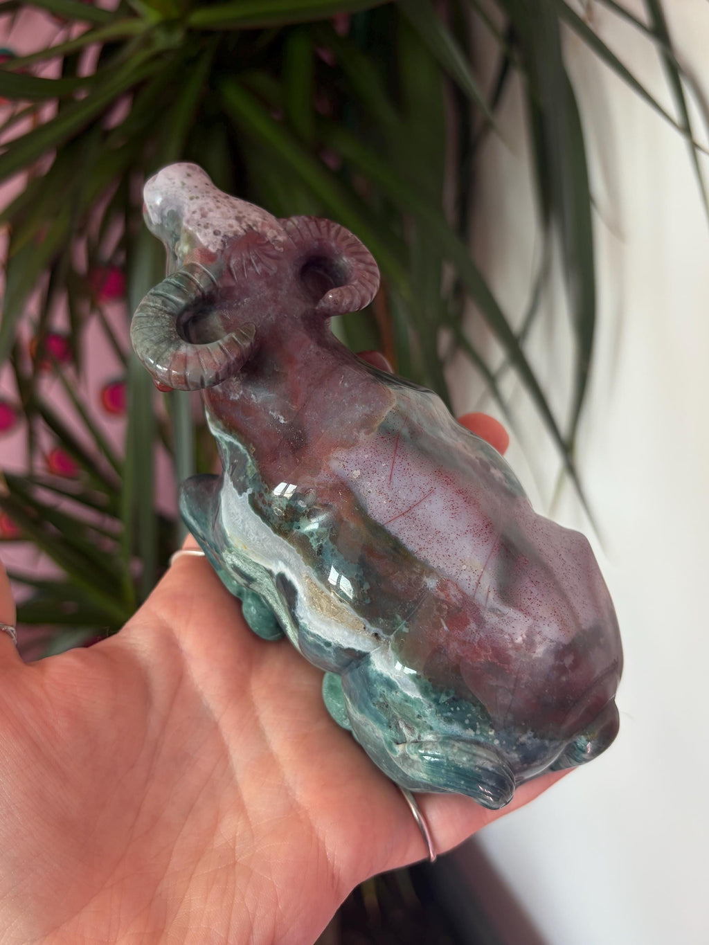 Sea Jasper Water Buffalo
