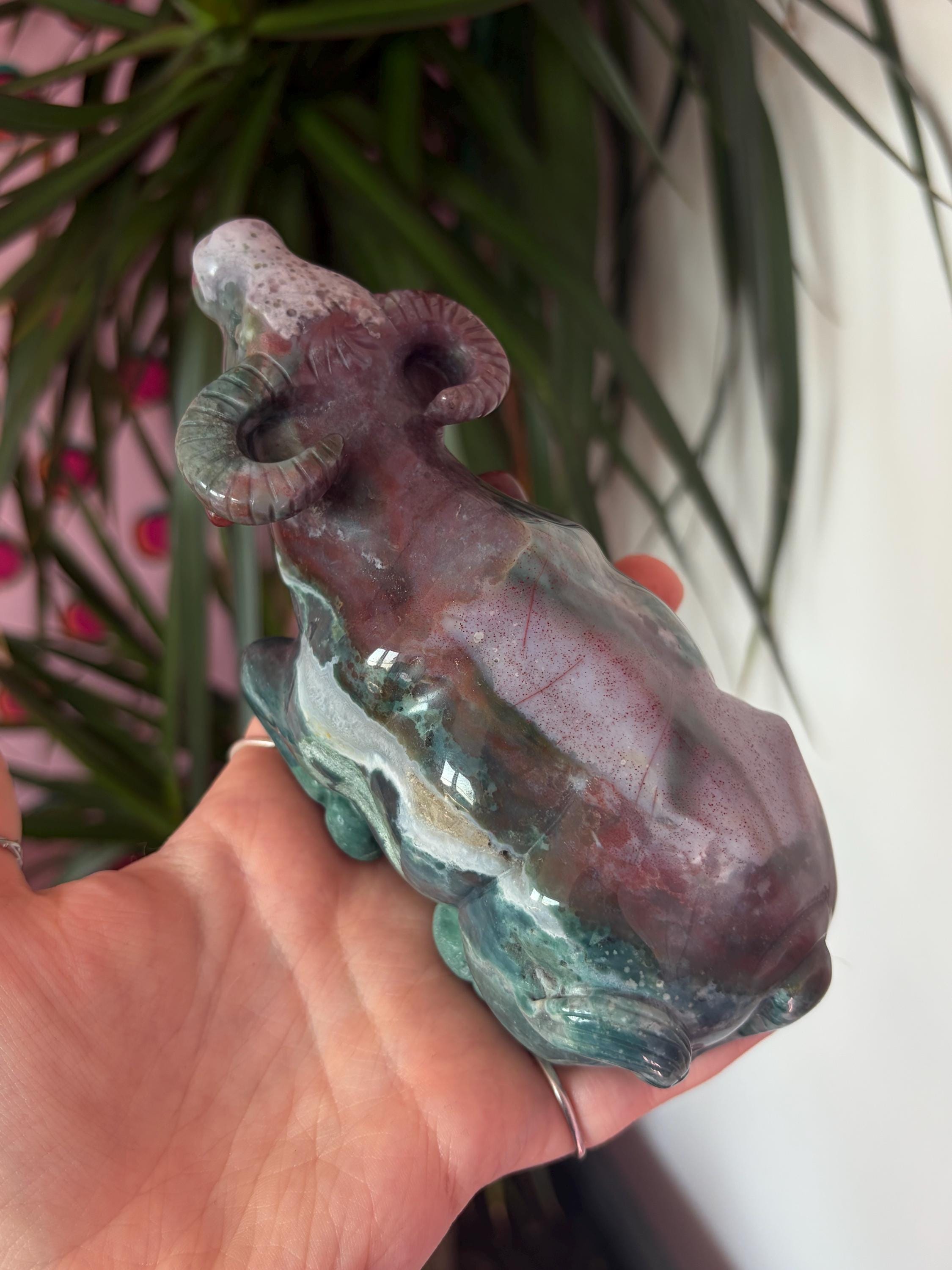 Sea Jasper Water Buffalo