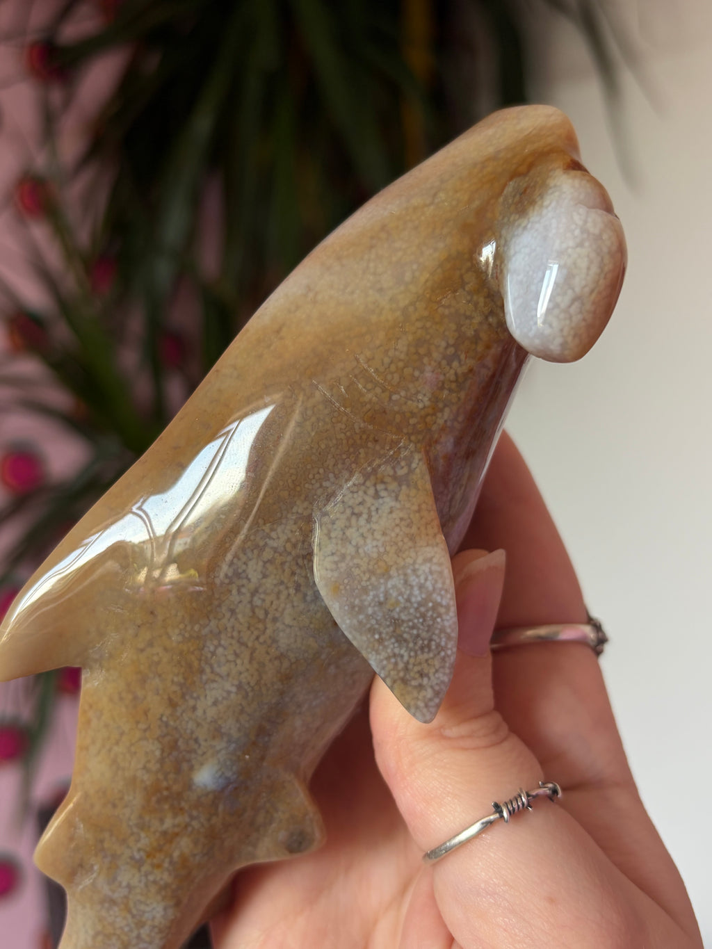 Agate Hammerhead Shark