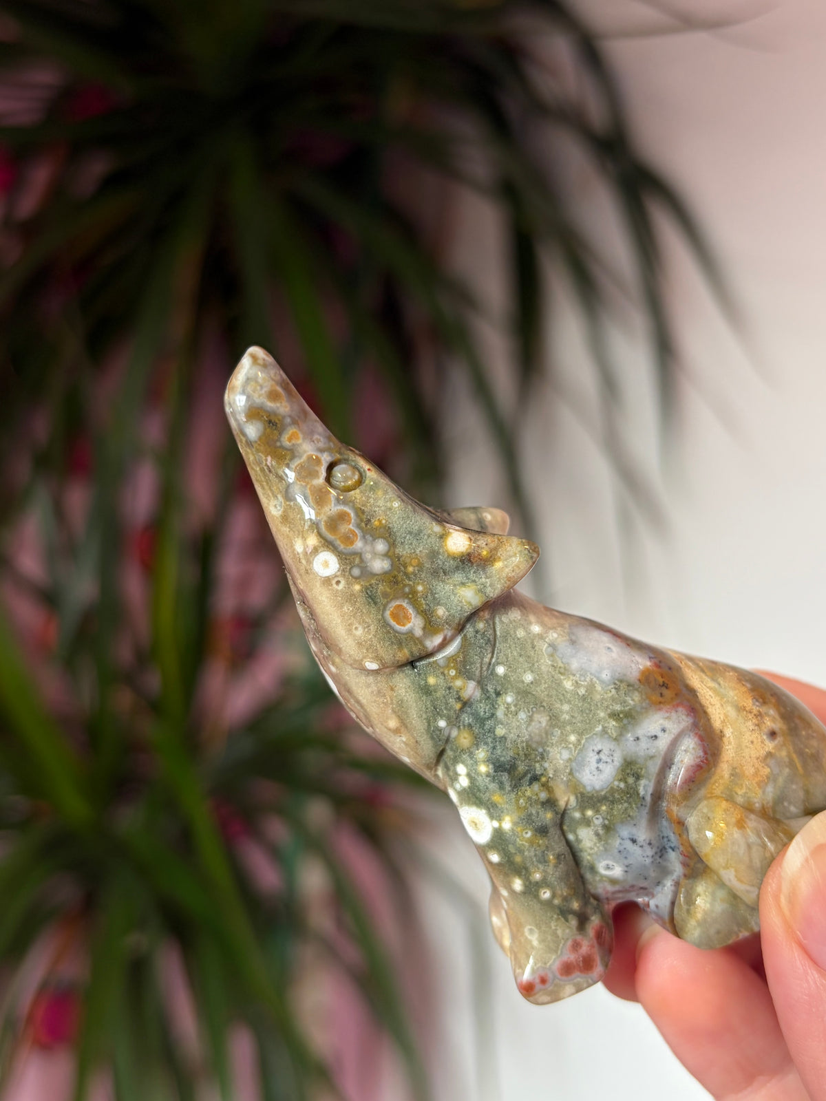 Ocean Jasper Howling Wolf