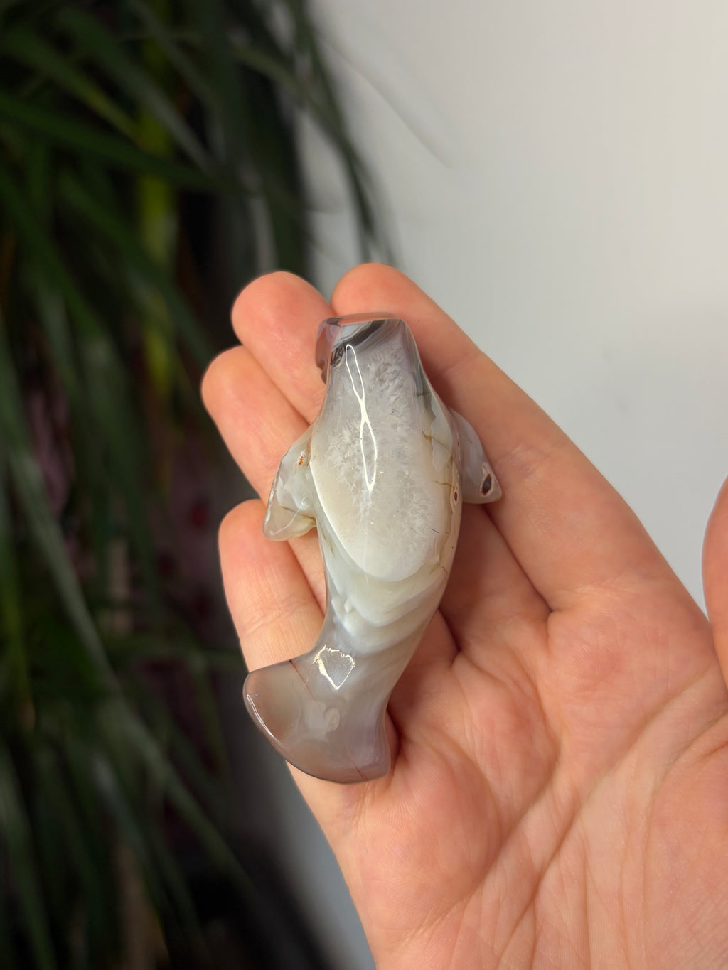 Mozambique Agate Manatee
