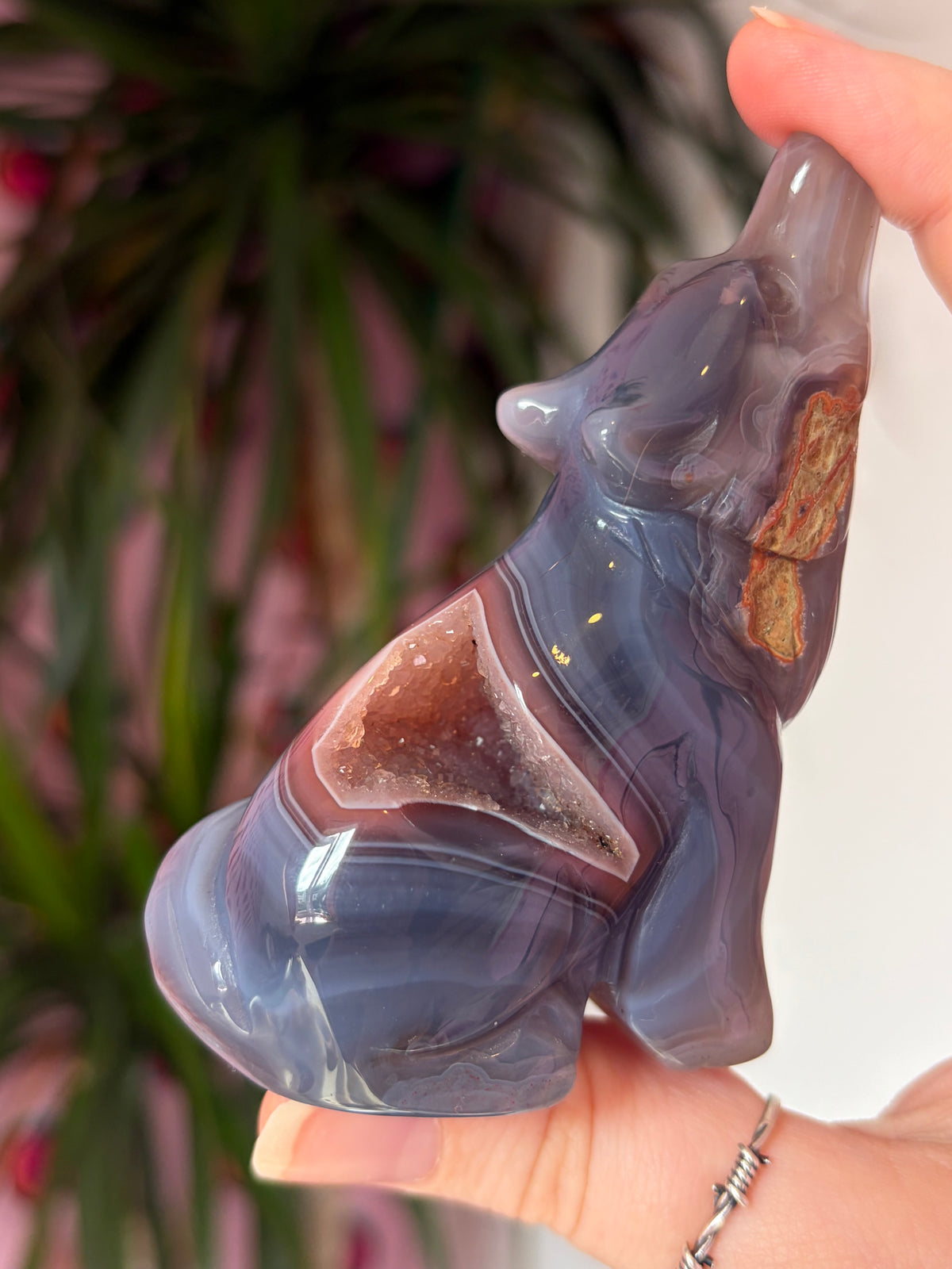 Mozambique Agate Howling Wolf