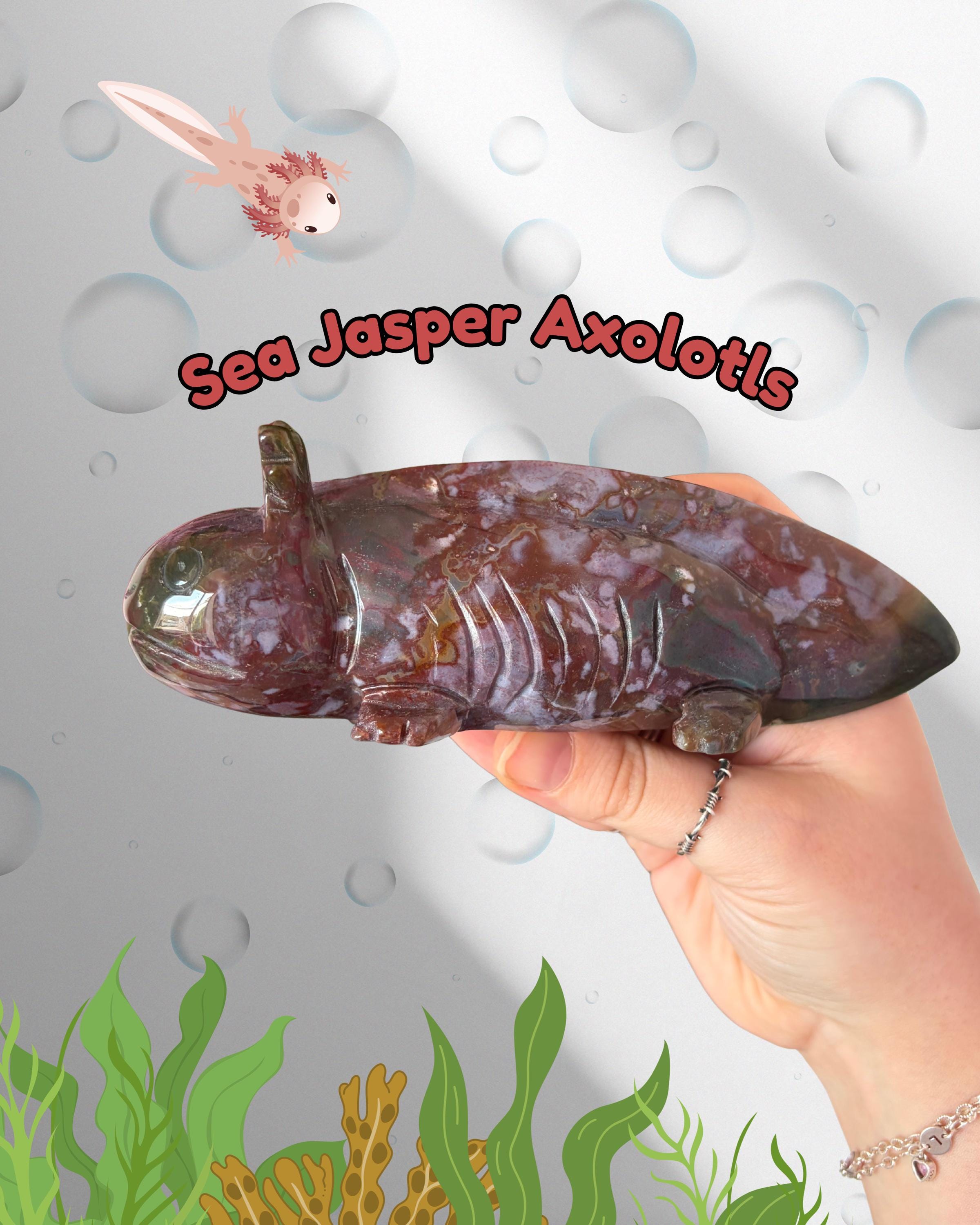 Sea Jasper Axolotls