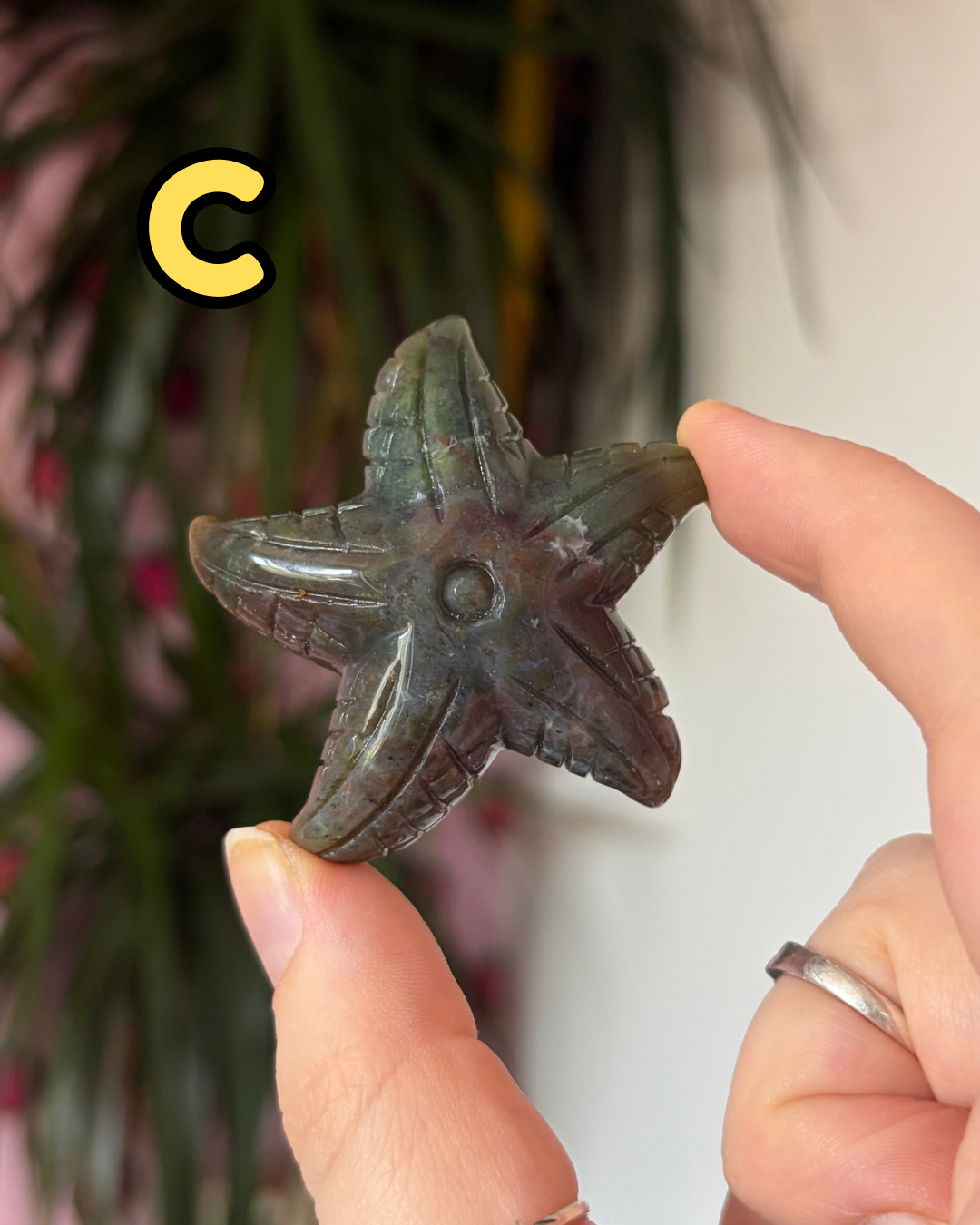 Sea Jasper Starfish