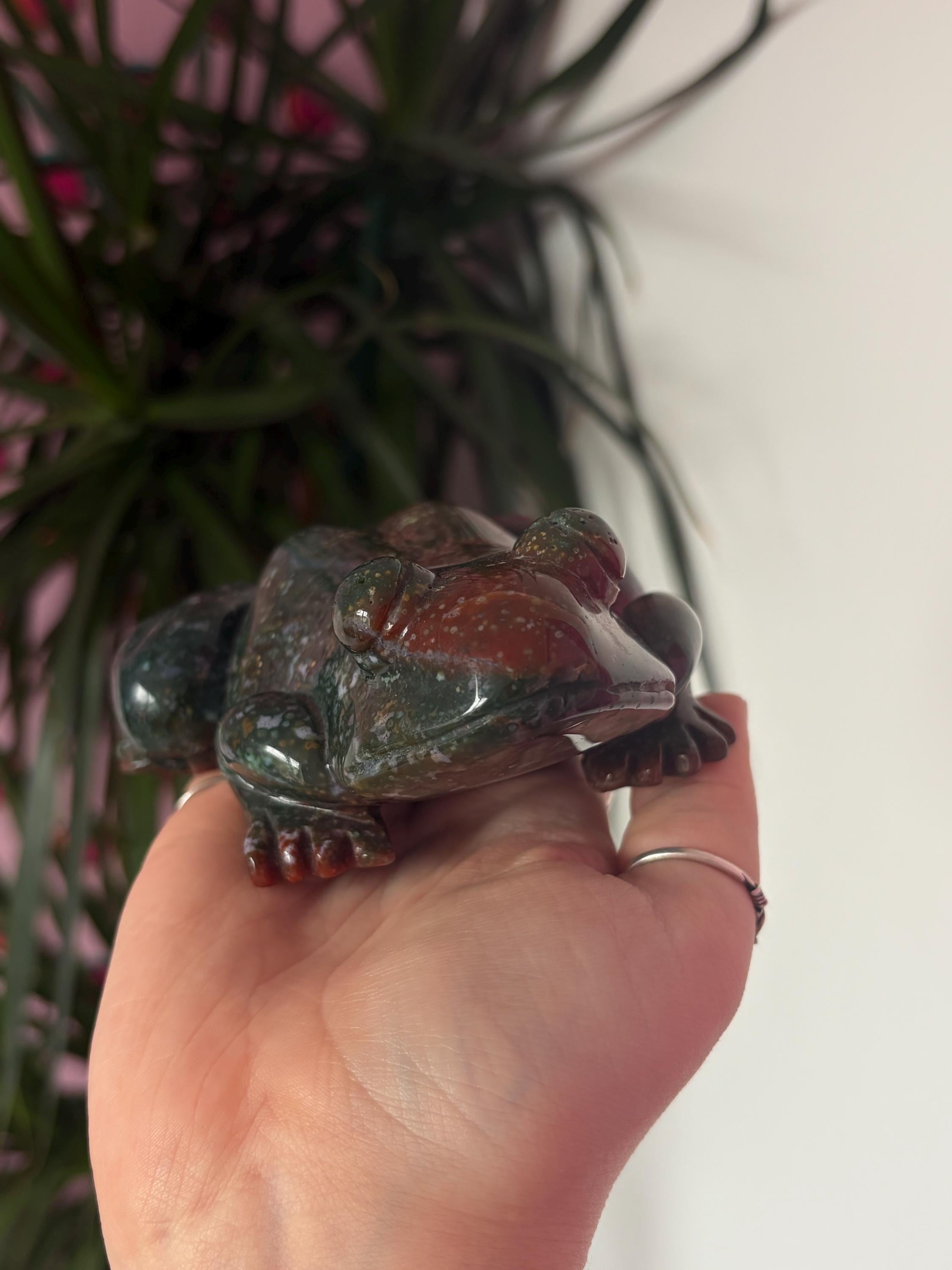 Large Sea Jasper Frog