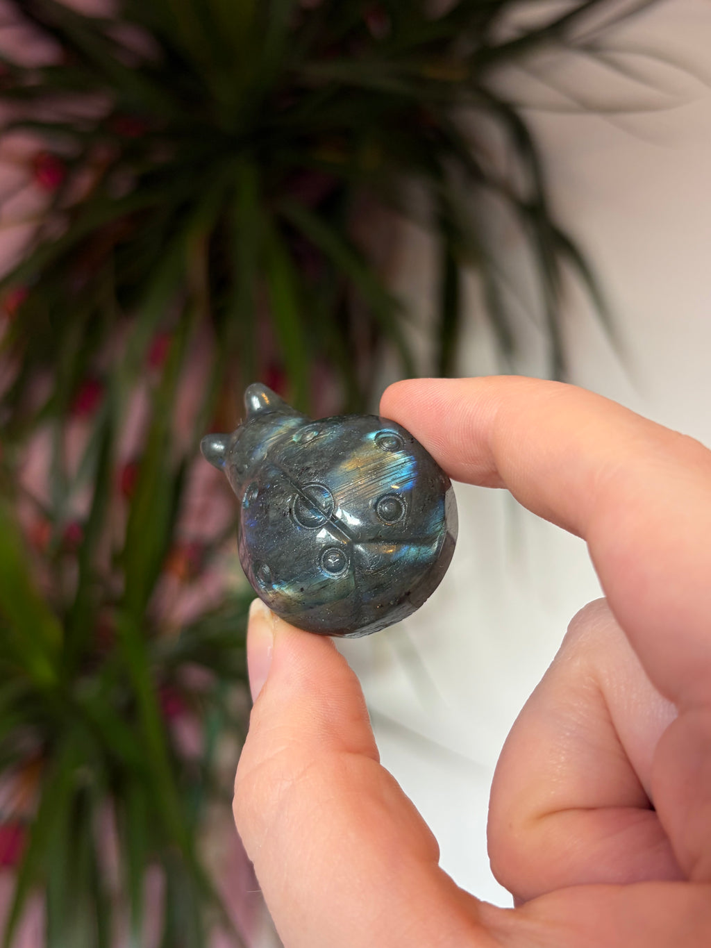 Labradorite ladybug