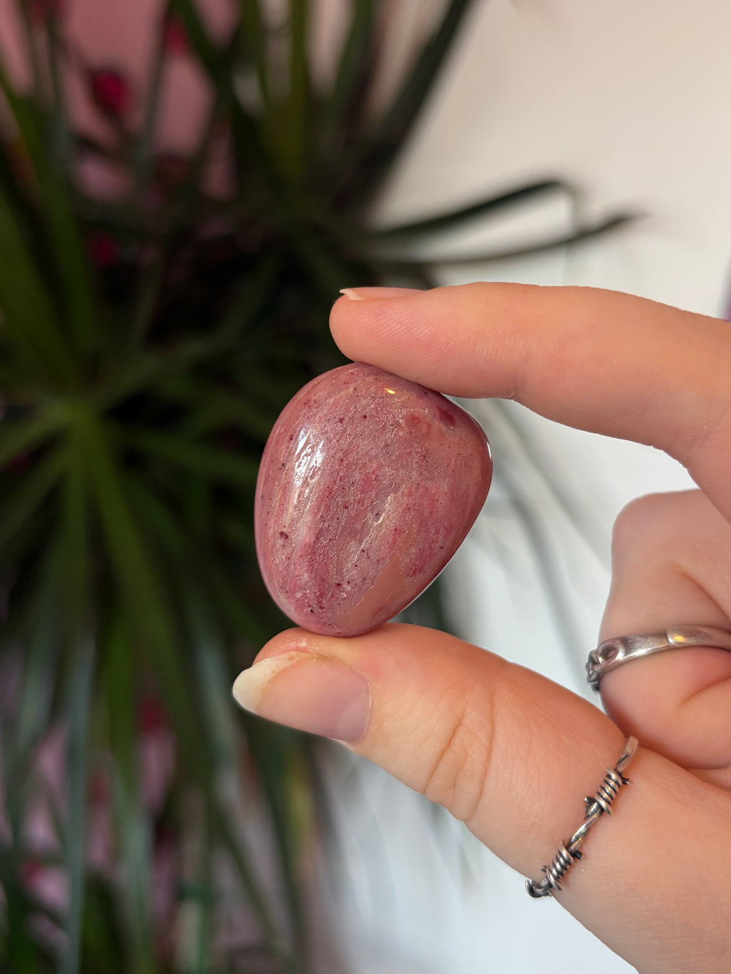 Pink Fossil Wood Tumblestone
