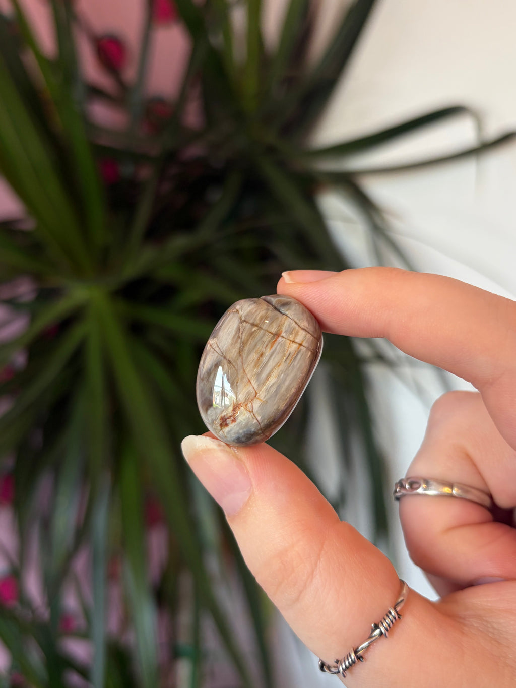 Fossil Wood Tumblestone