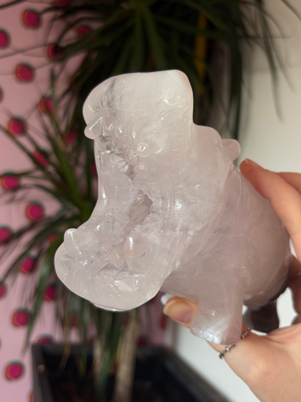 Druzy Agate Hippo
