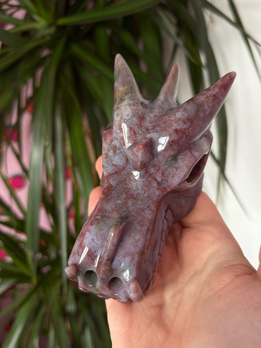 Sea Jasper Dragon Skull
