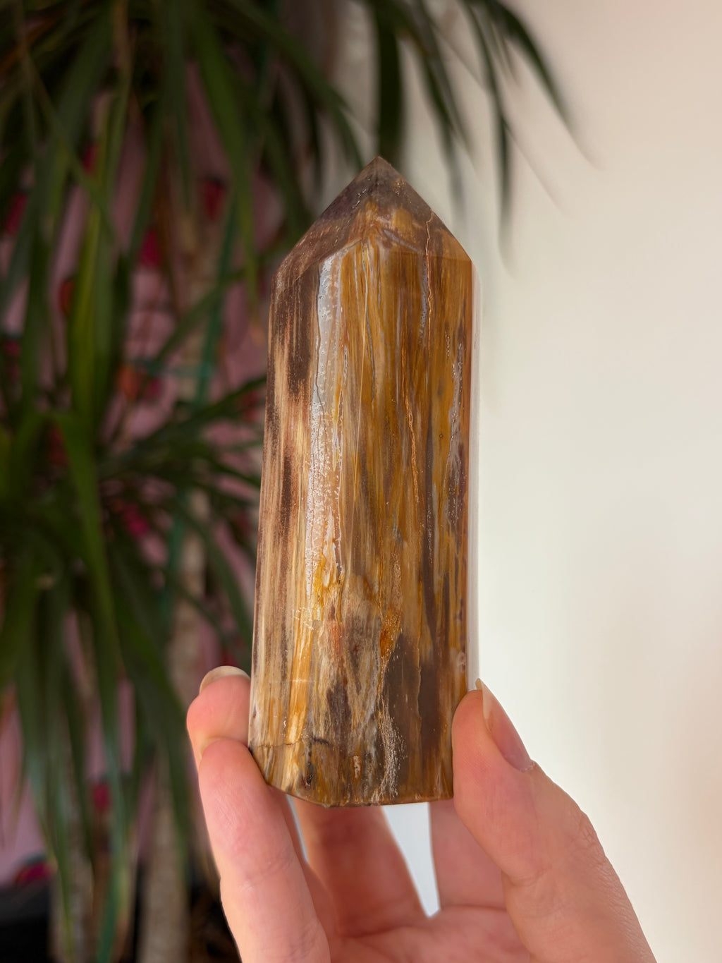 Chunky fossil wood tower