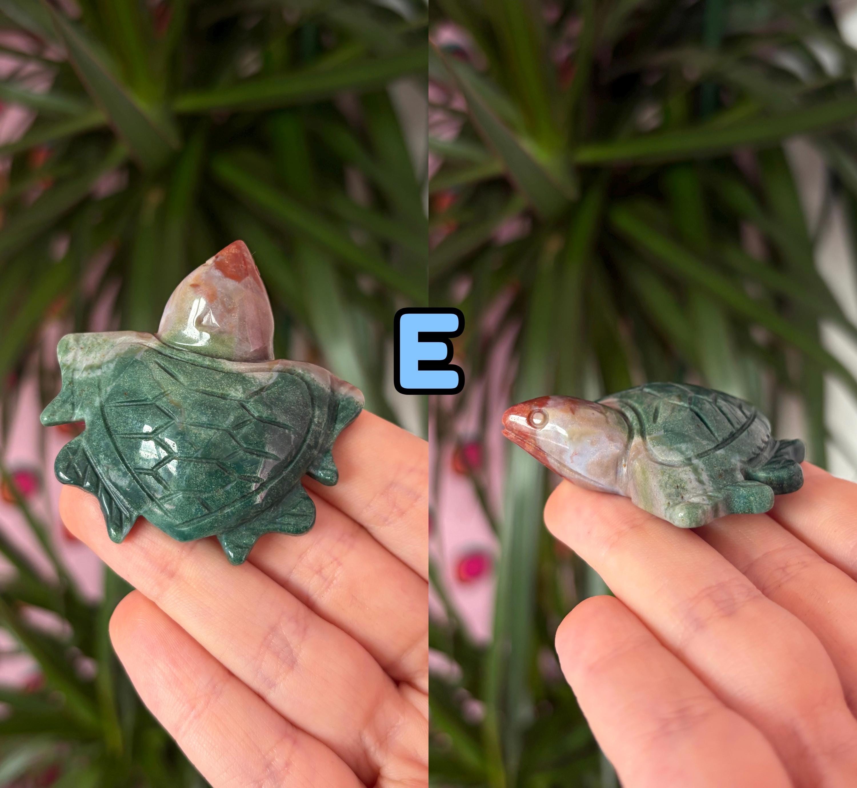Sea jasper turtles