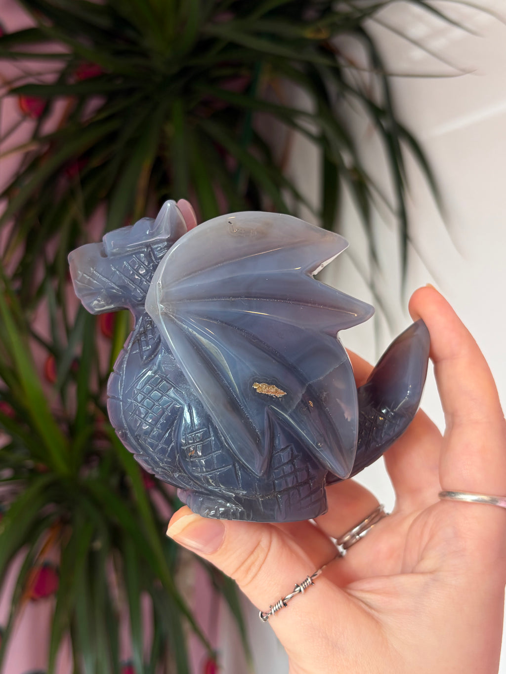 Mozambique Agate Dragon