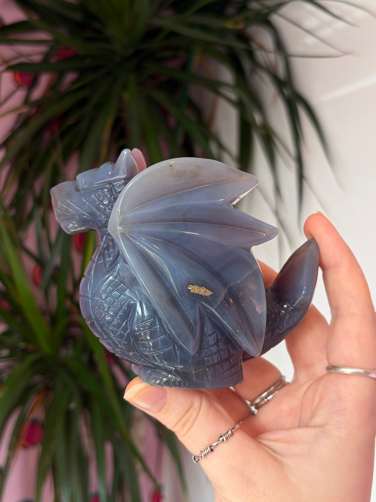 Mozambique Agate Dragon